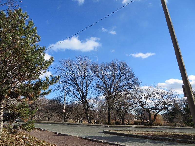 1171 Boylston St, Fenway