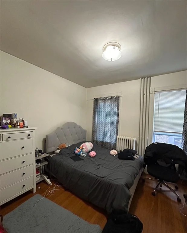 17 Hillside St, Mission Hill