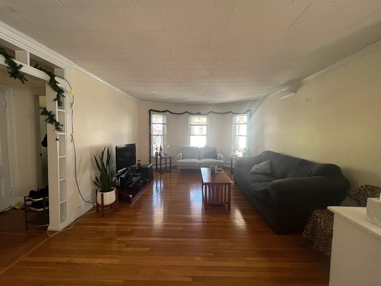 33 Winslow Ave, Davis Square