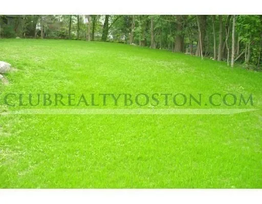 195 Forest, Arlington