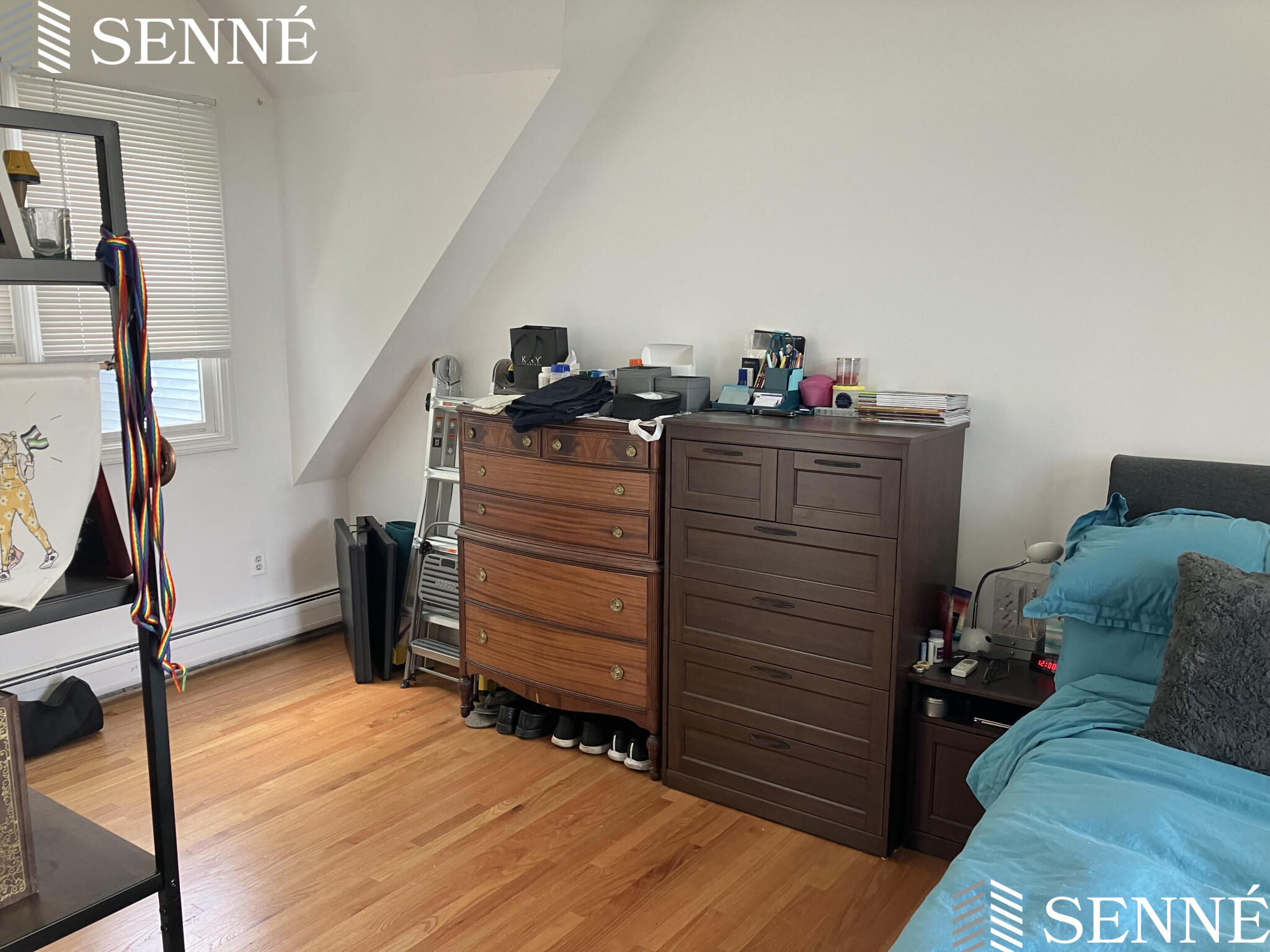 26 Thorndike St, Davis Square