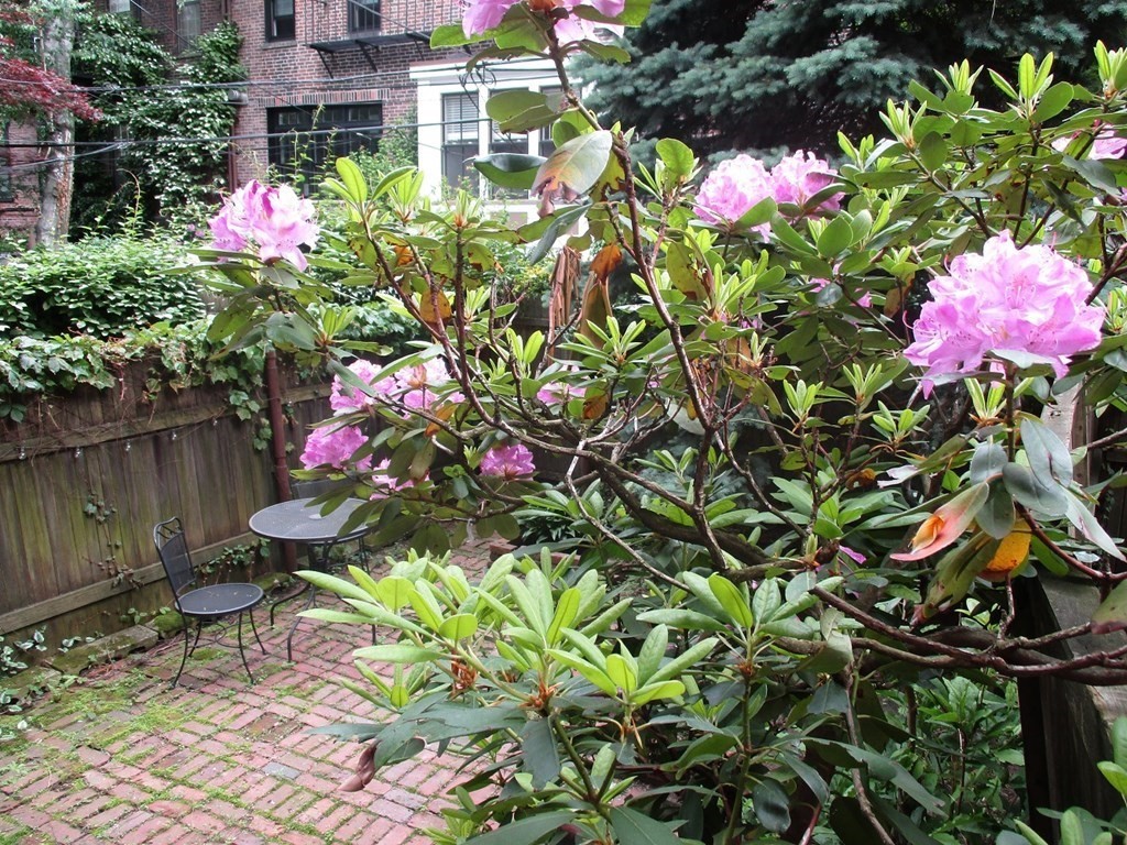 15 Appleton St, South End