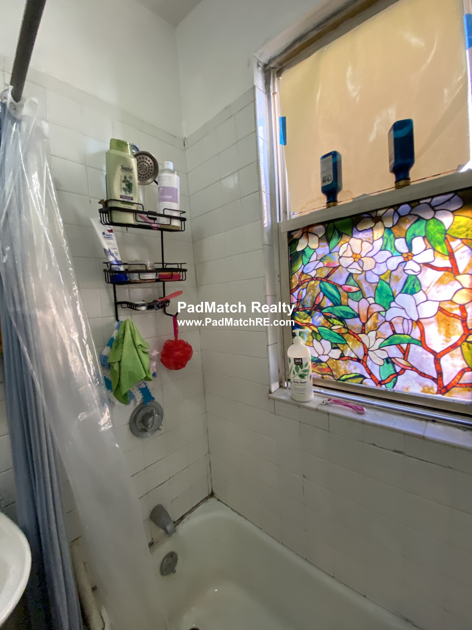 11 Scottfield Rd, Brighton