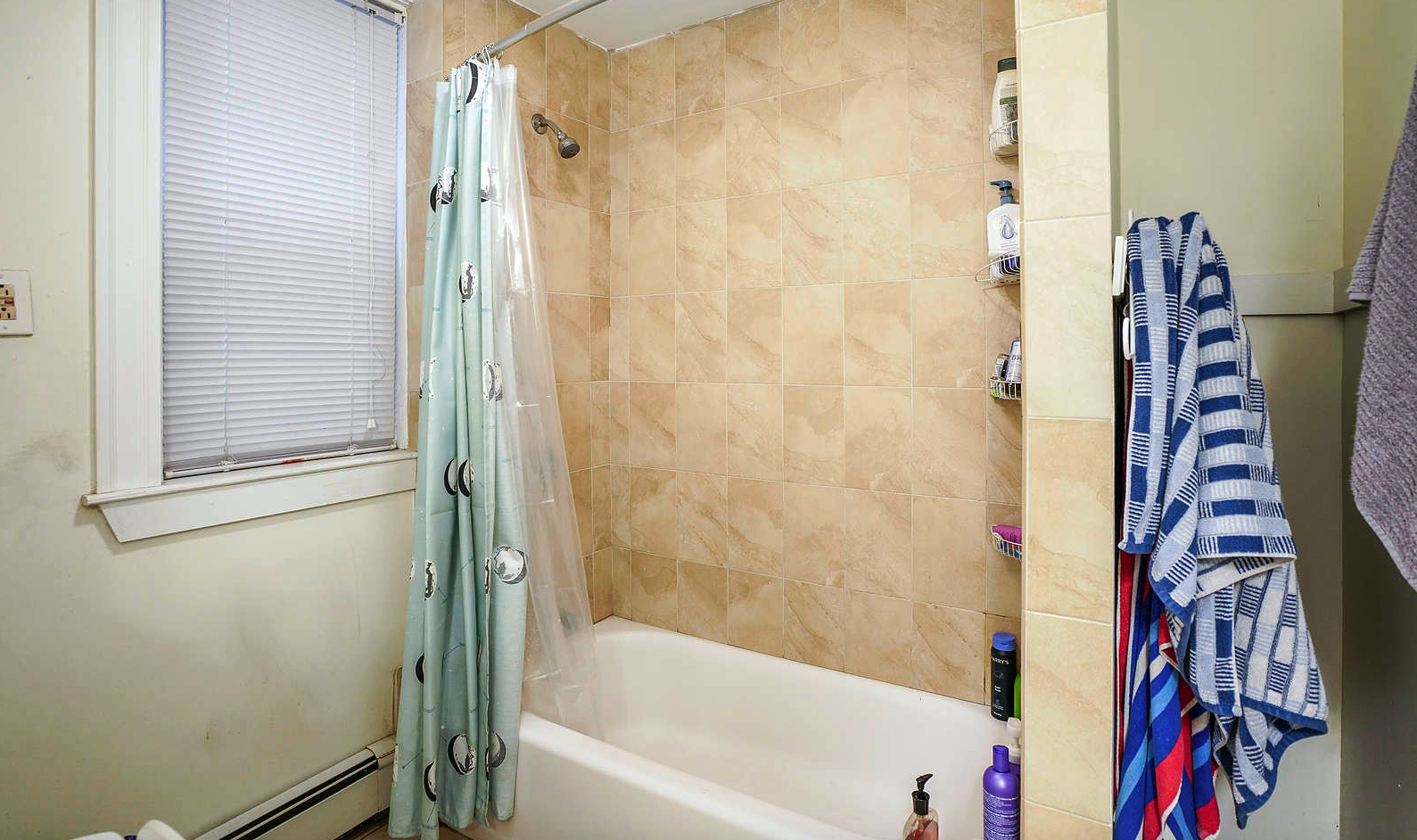 13 Sachem St, Mission Hill