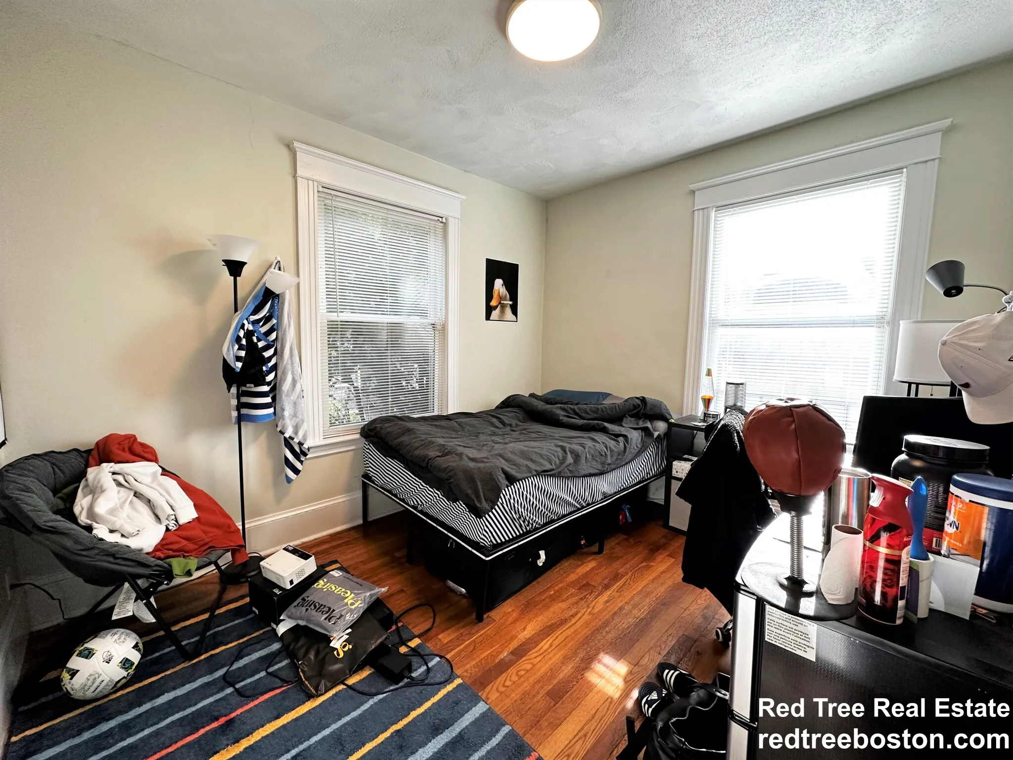 229 Chestnut Hill Ave, Brighton