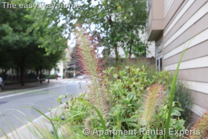 21 Brookline St, Central Square