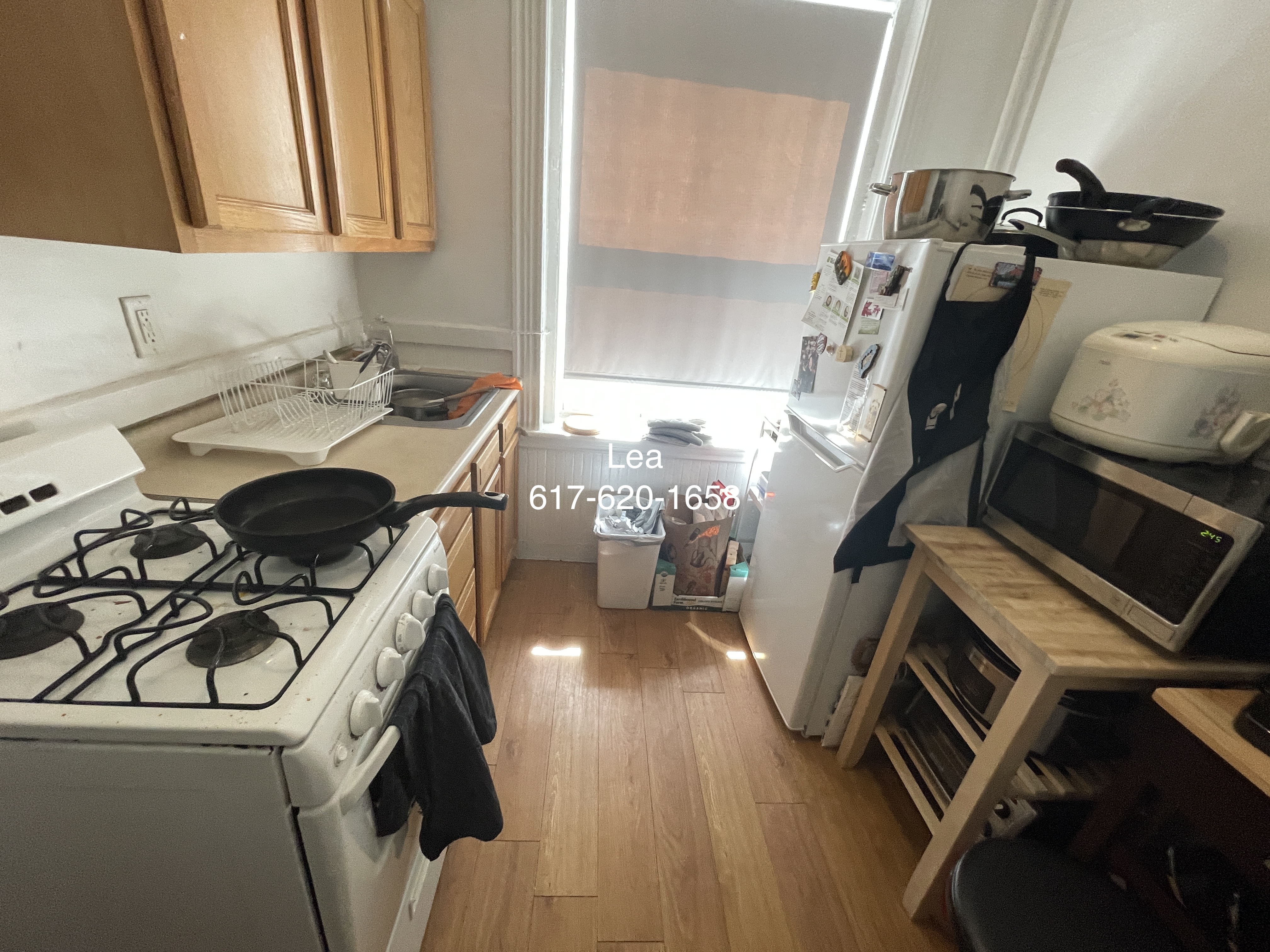 5 Walbridge St, Brighton