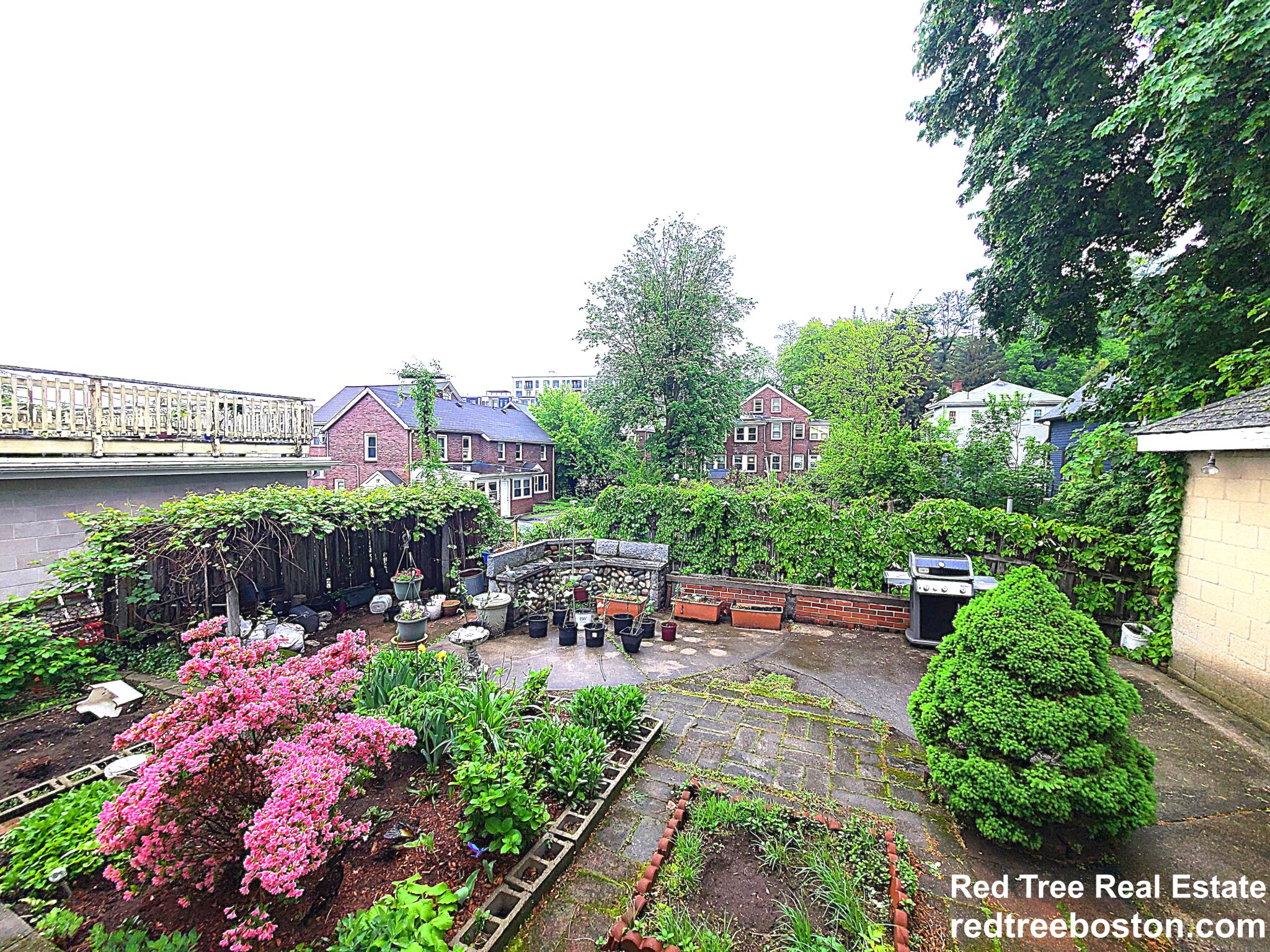 19 Larose Pl, Brighton