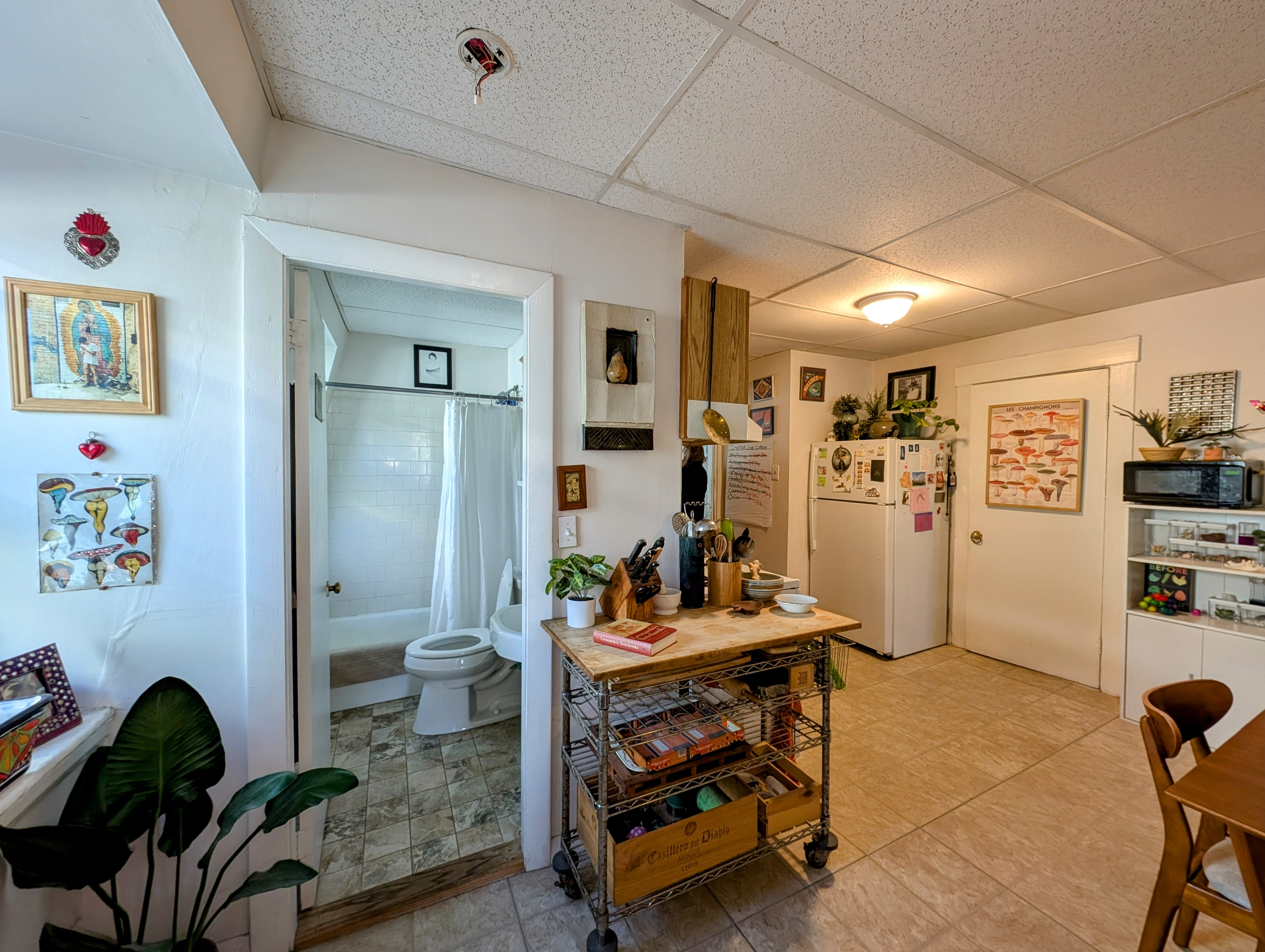 379 Windsor St, Wellington-Harrington