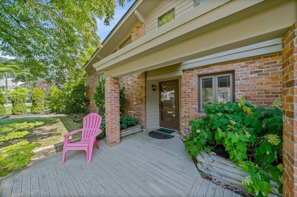 37 Harwich Rd, Newton