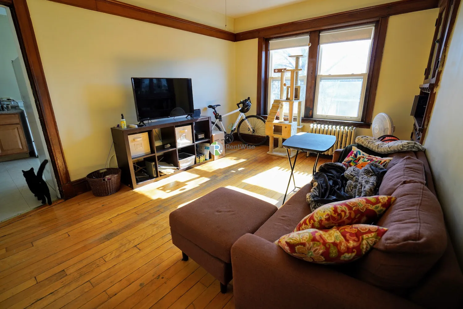 230 South St, Jamaica Plain