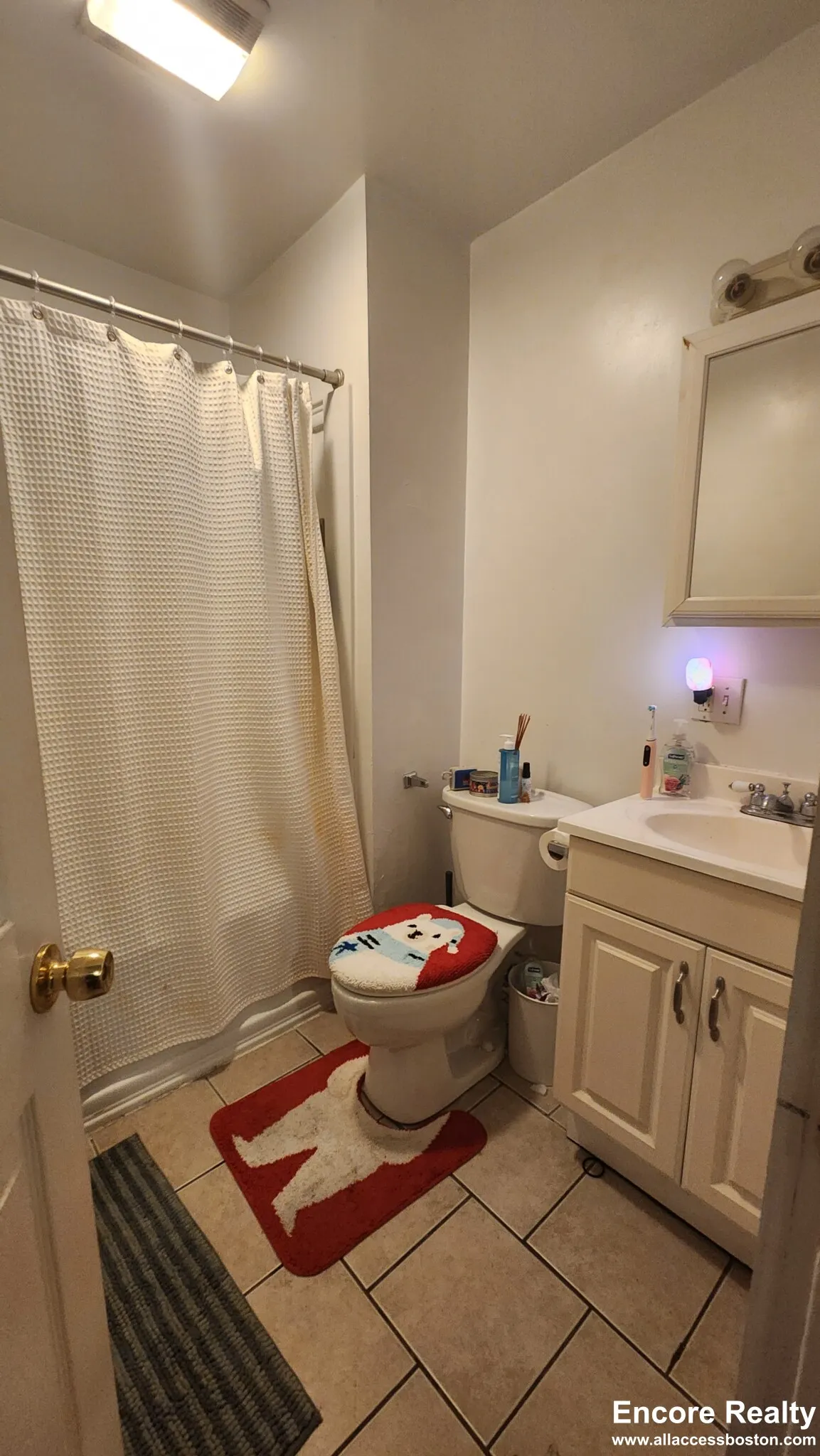 66 Egmont St, North Brookline