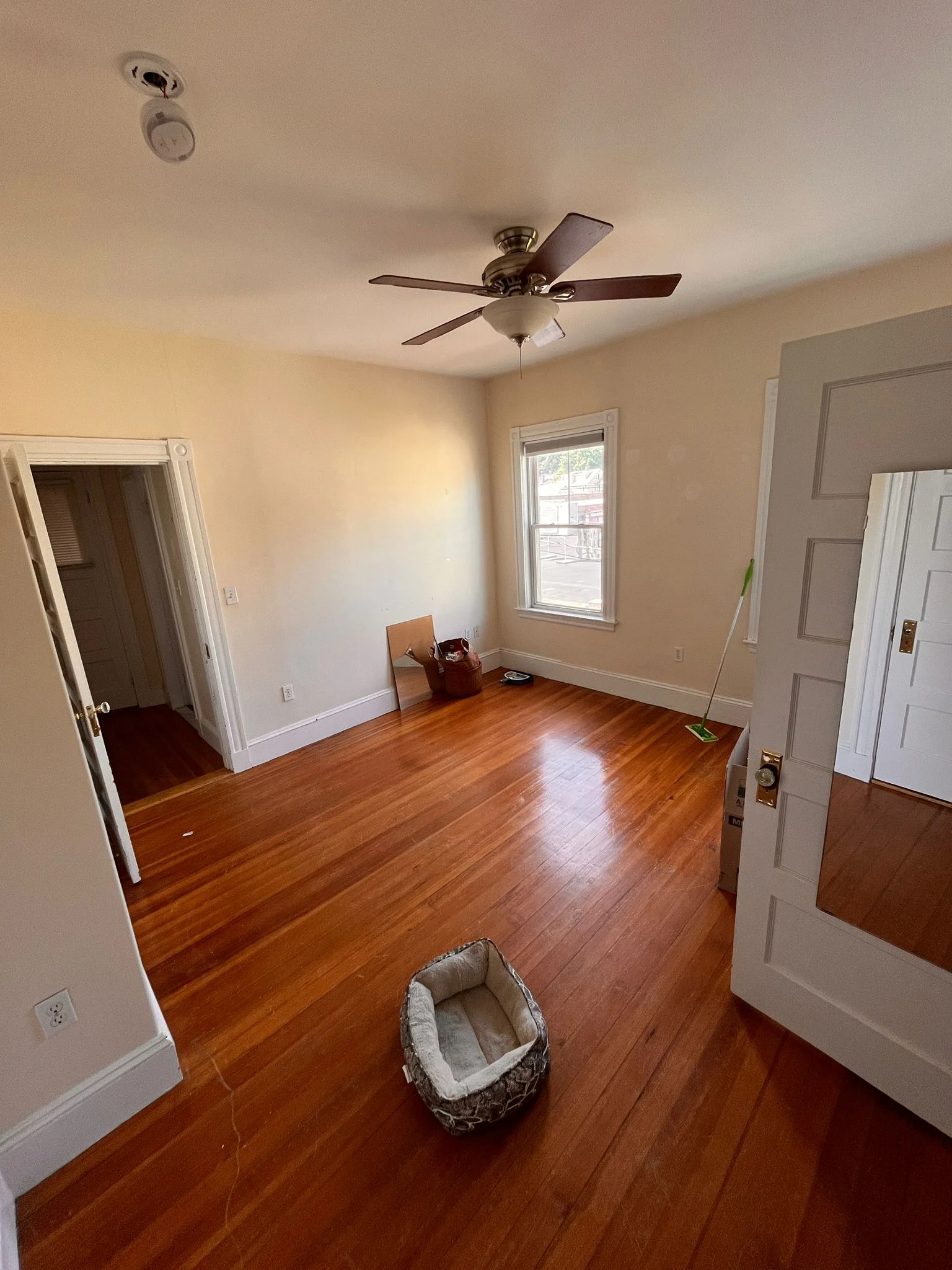 163 Belmont St, Belmont