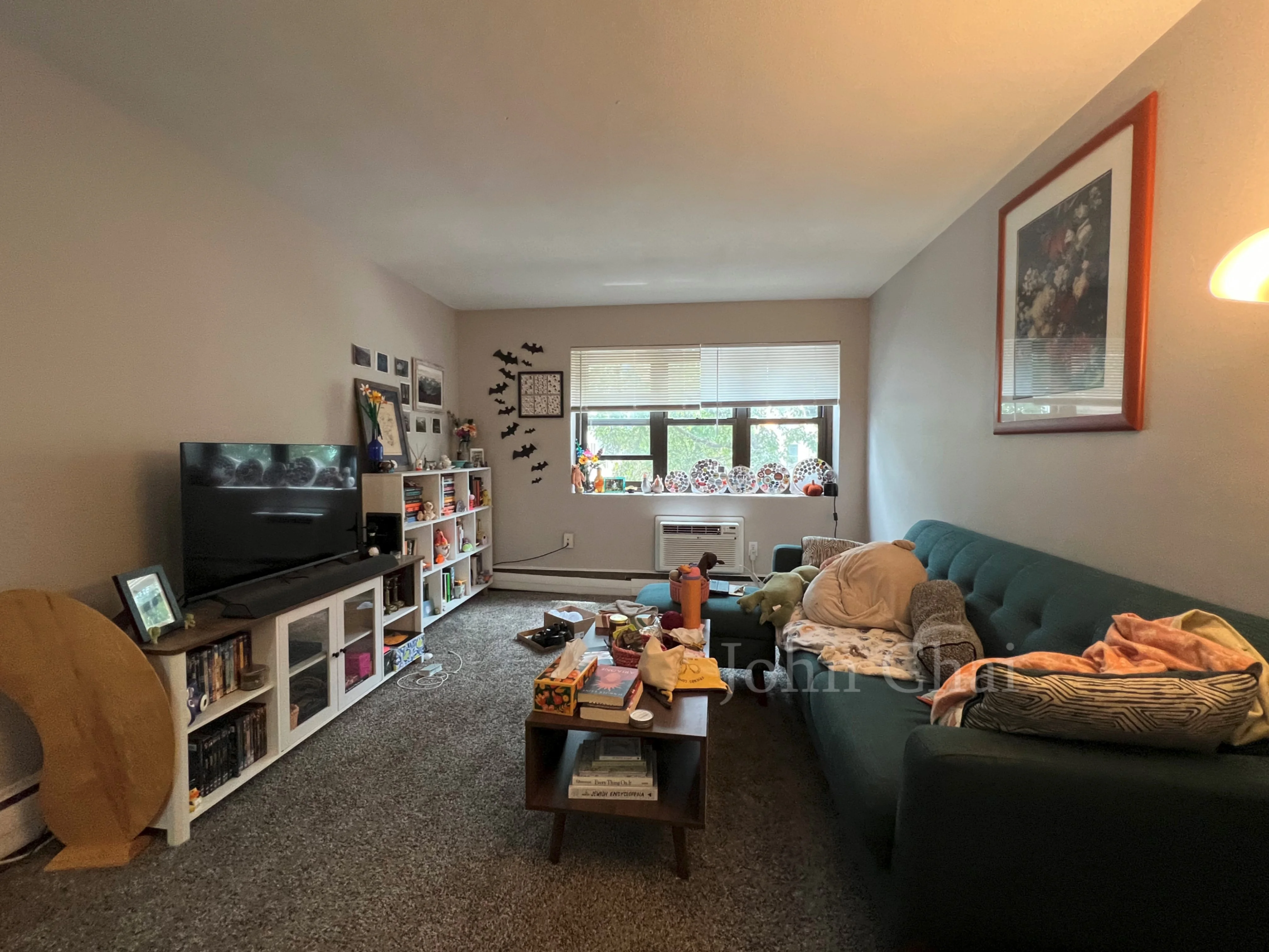 39 Shepard St, Brighton