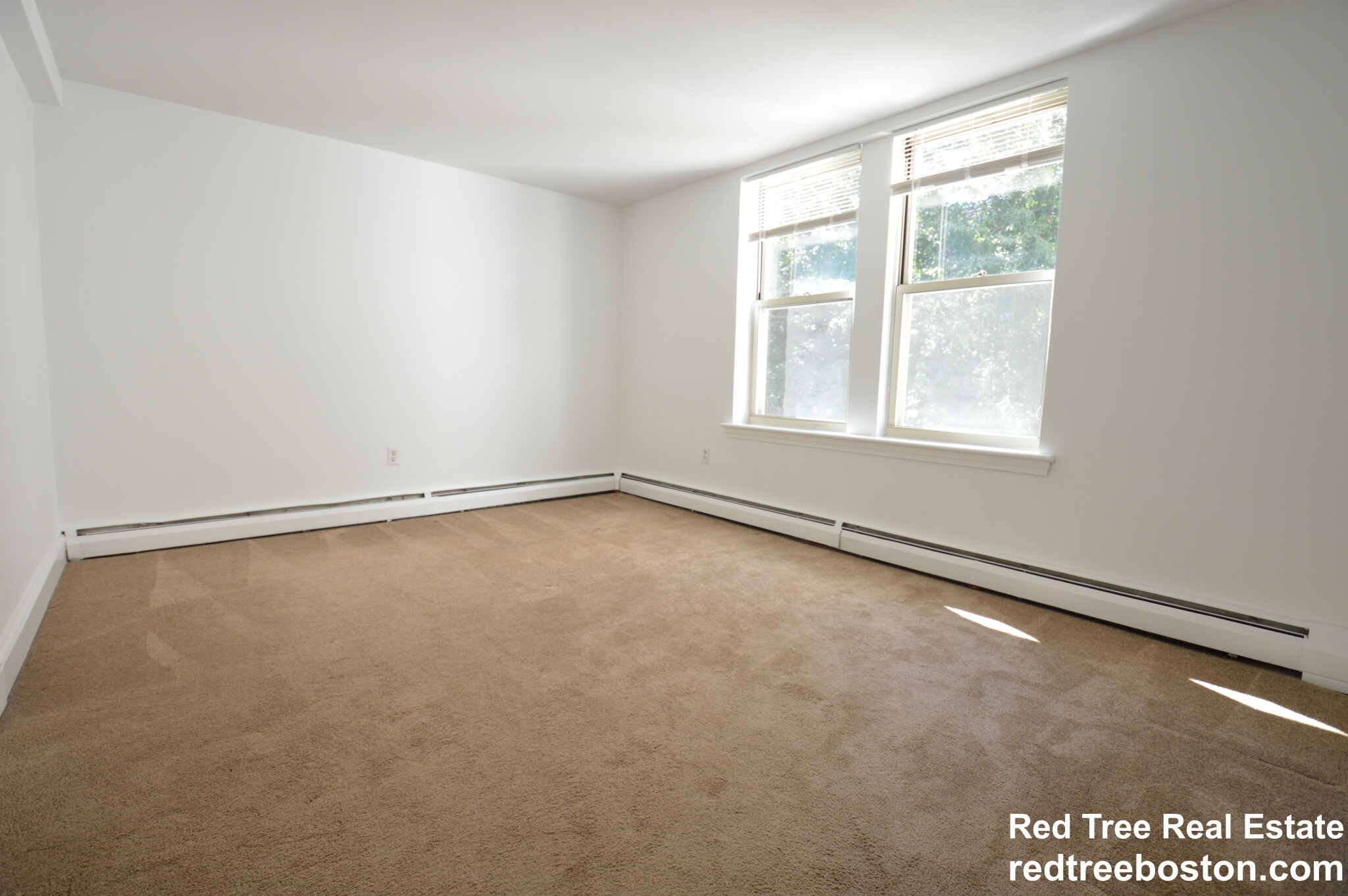 20 Colborne Rd, Brighton