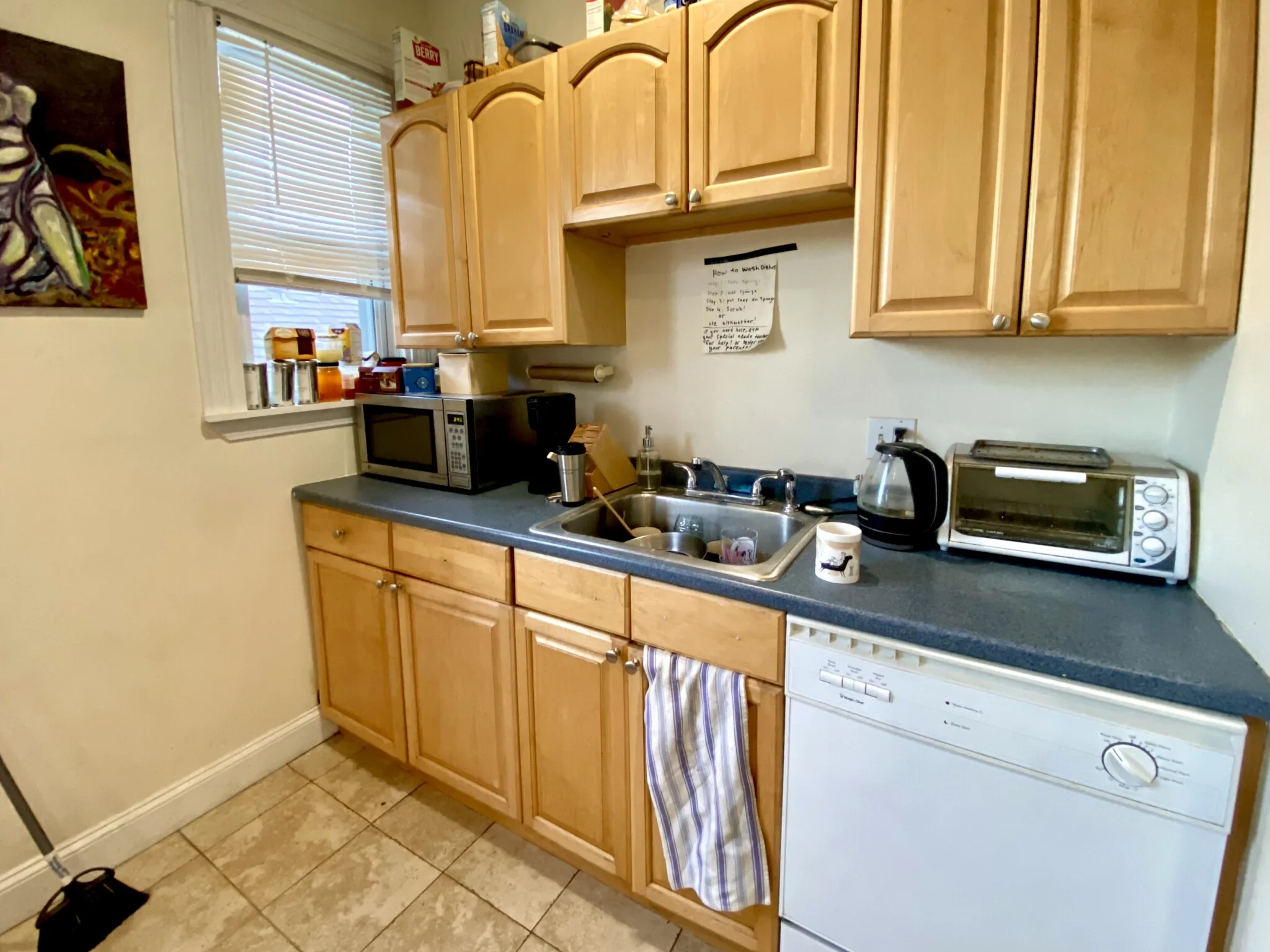 3 Oswald St, Mission Hill