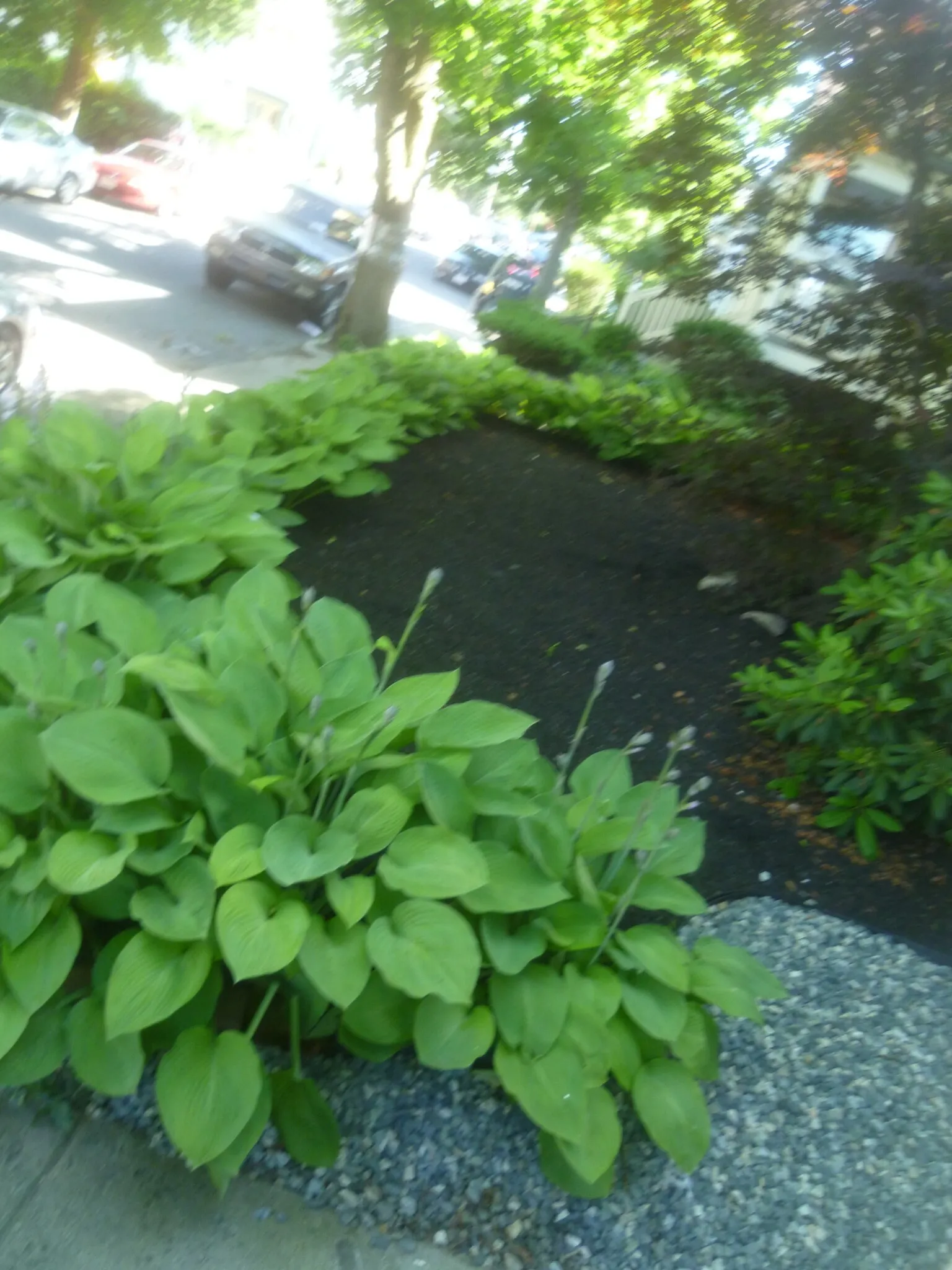 54 Hobson St, Brighton