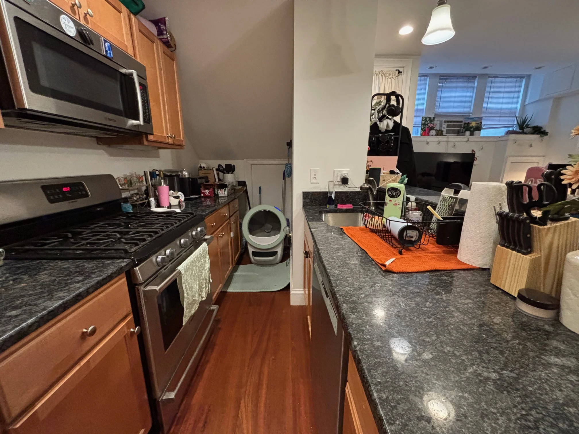 7 Grove St, Beacon Hill