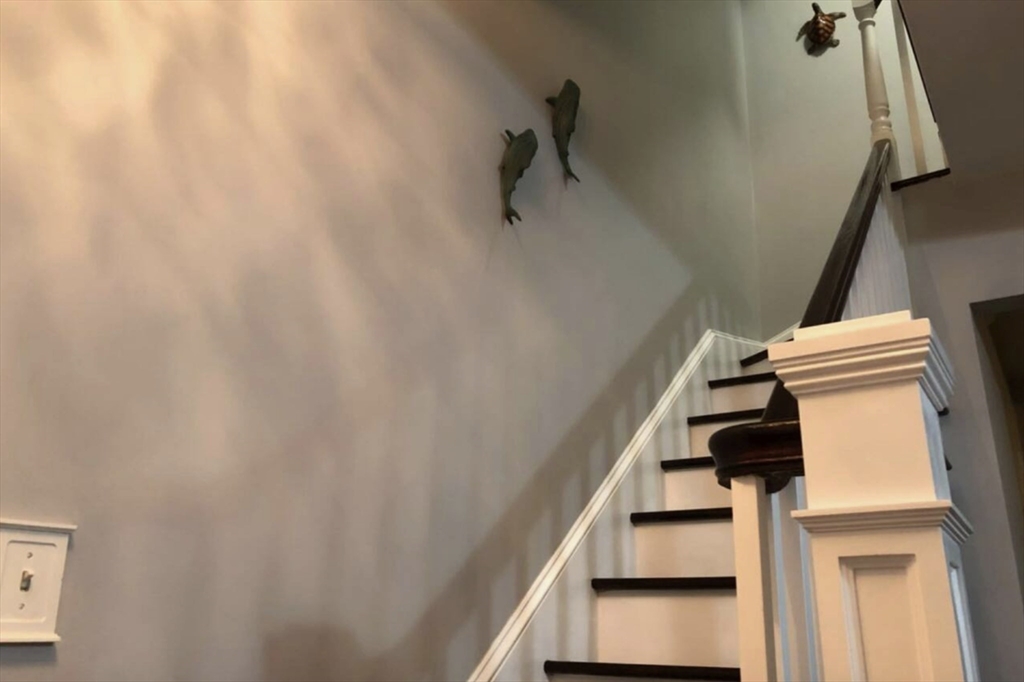 66 Bolton St, South Boston