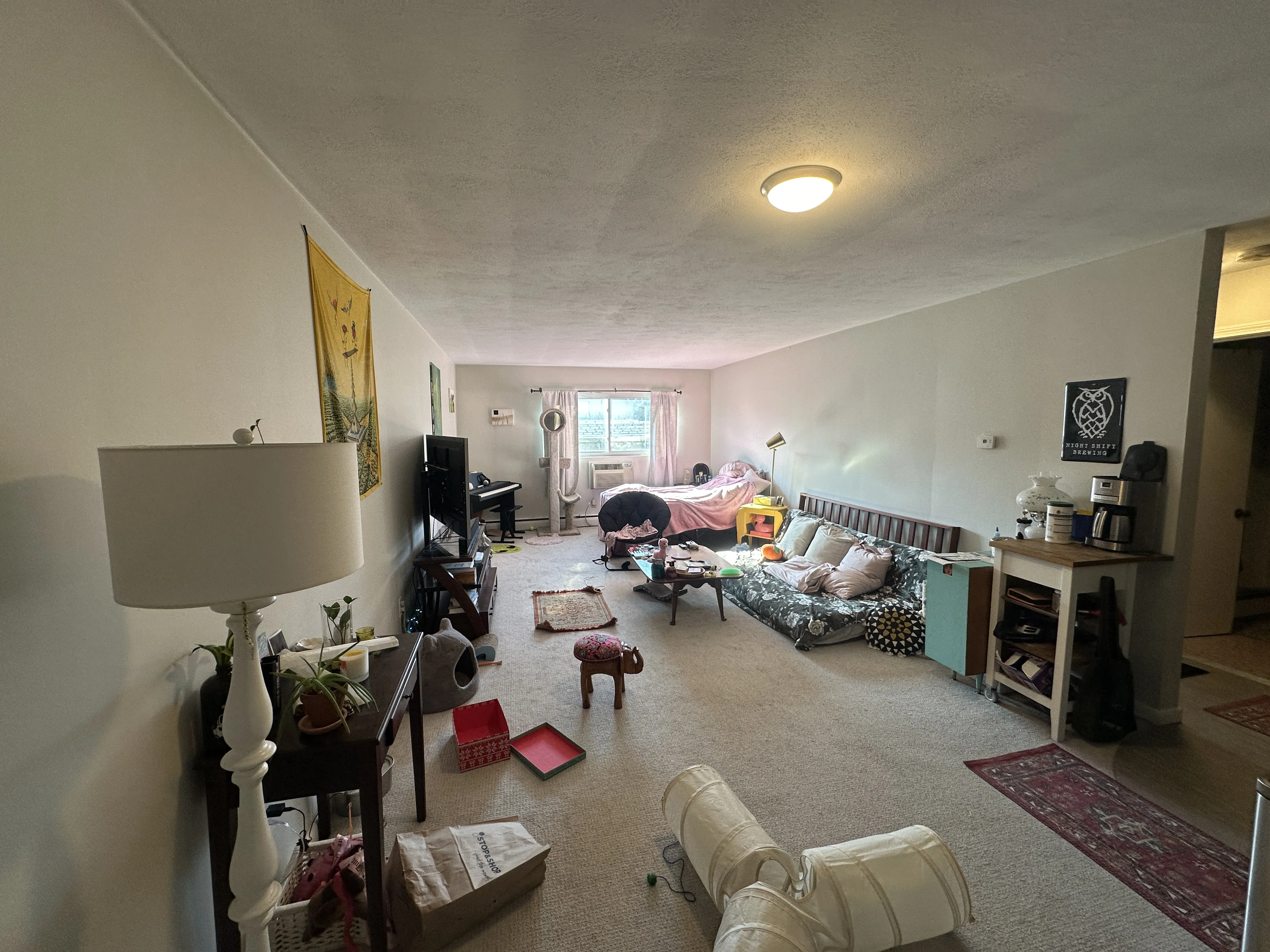 18 Glencoe St, Brighton