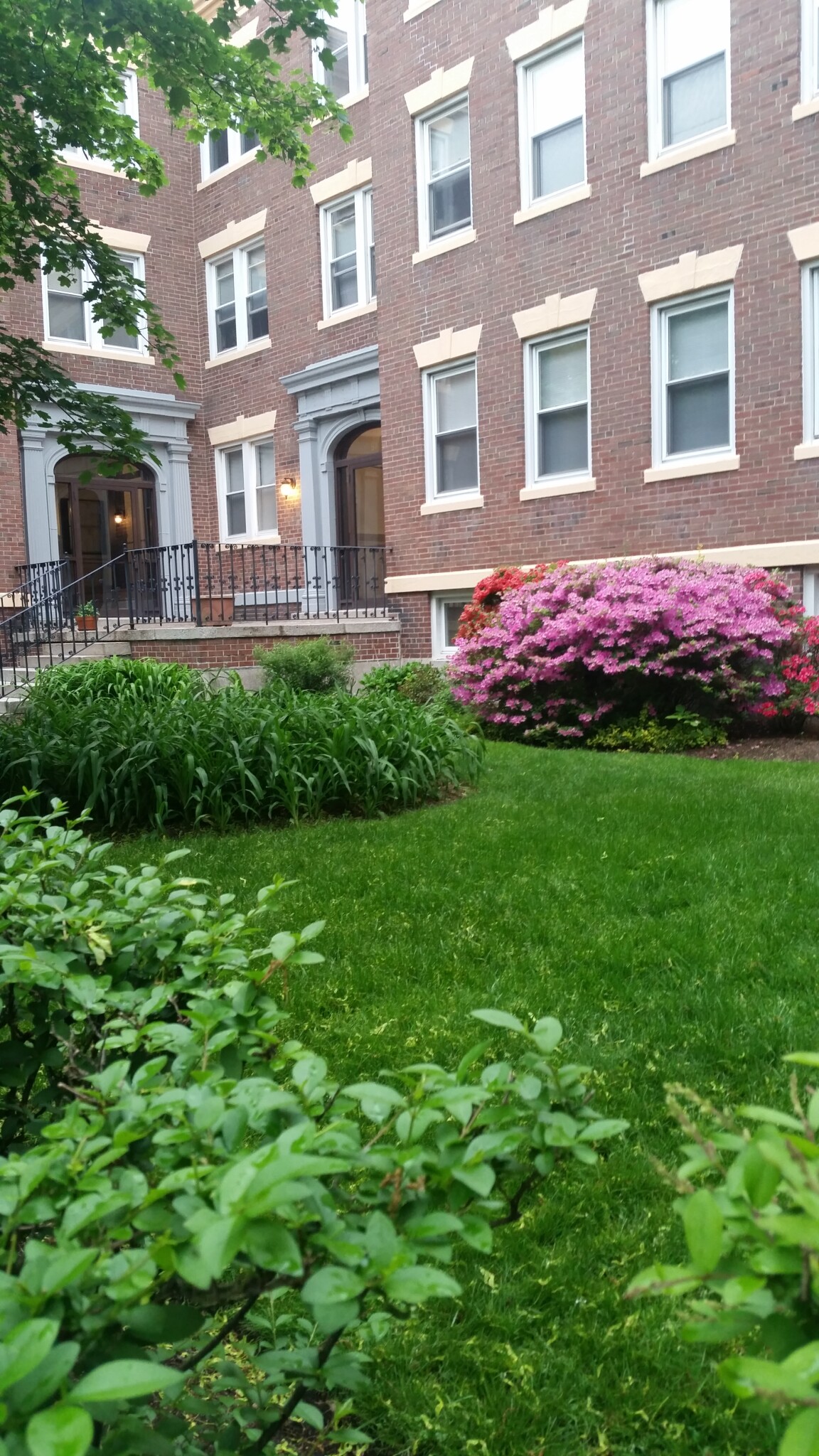 53 Manchester Rd, North Brookline