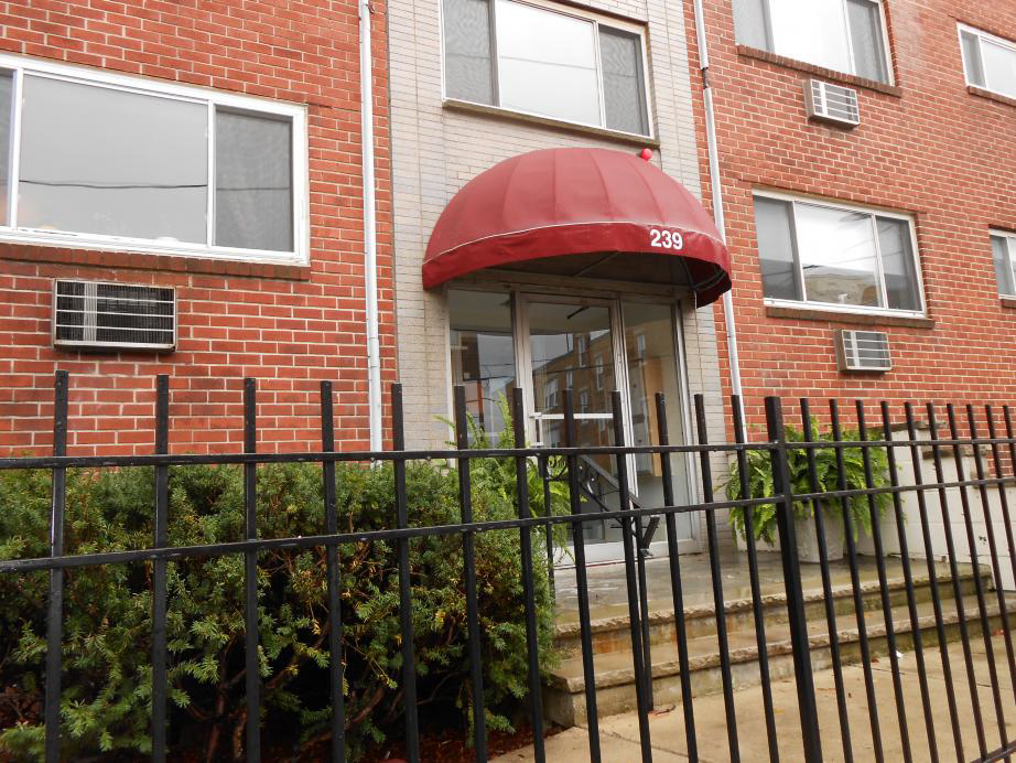 239 Kelton St, Brighton