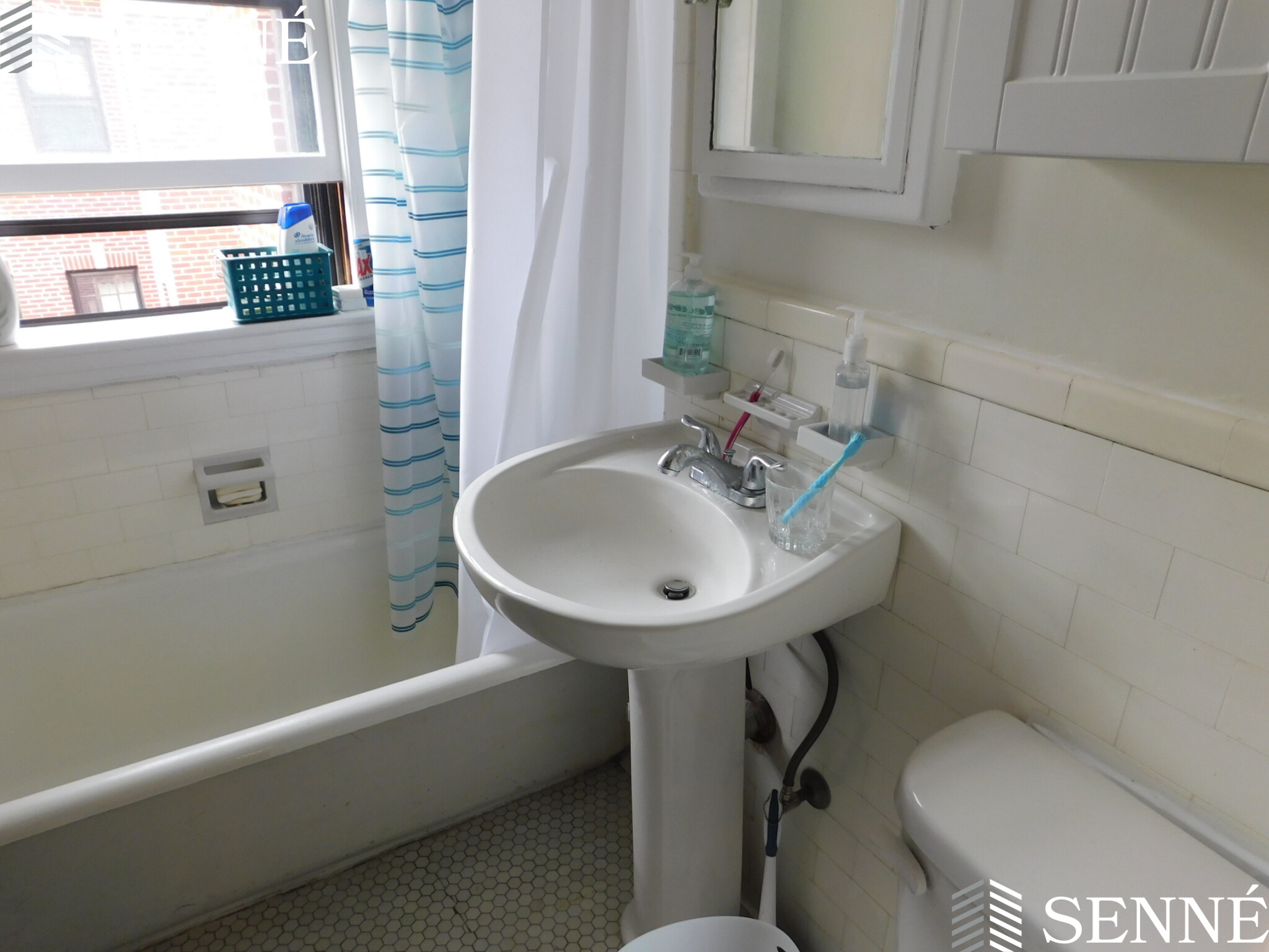 36 Linnaean St, Neighborhood Nine