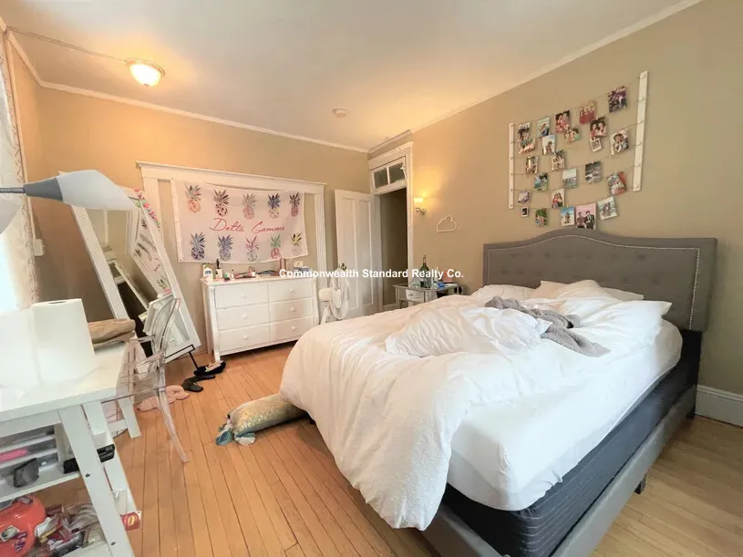 72 Egmont St, North Brookline