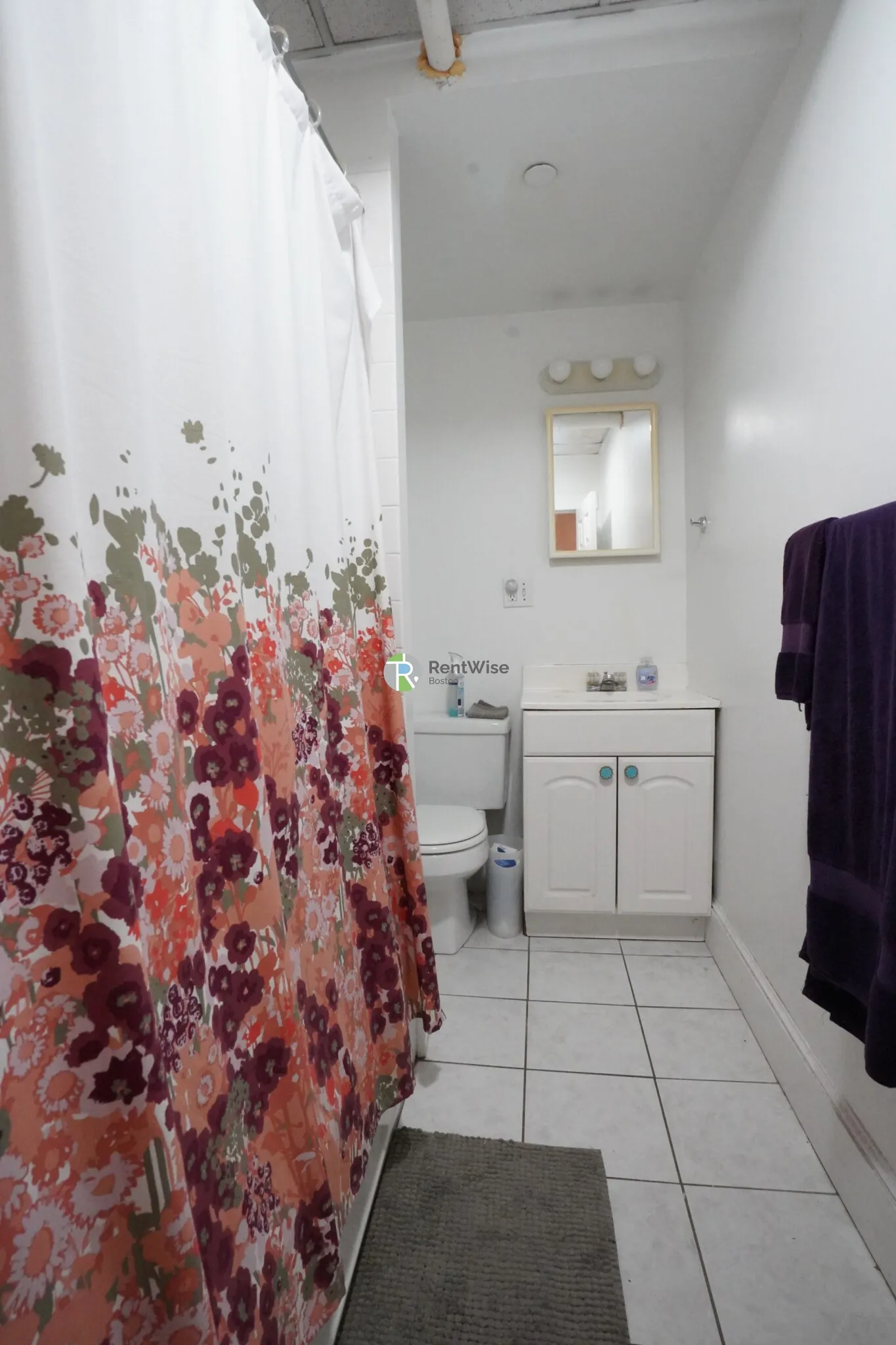14 Orkney Rd, Brighton