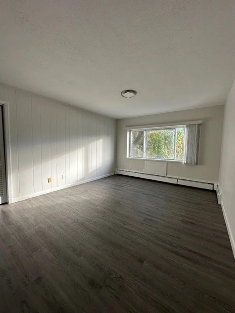 731 River St, Hyde Park