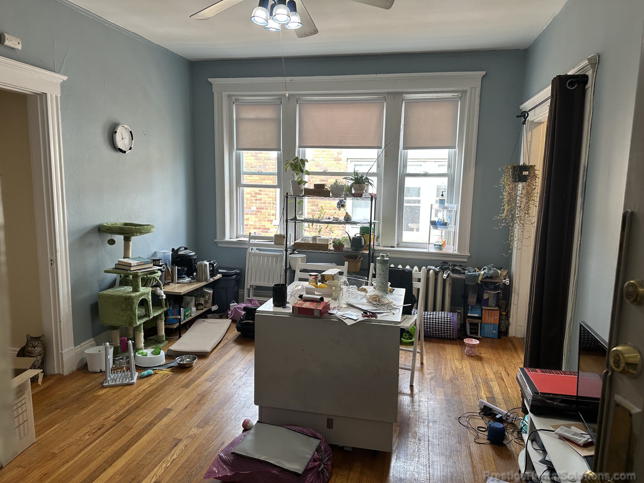 232 Kelton St, Allston