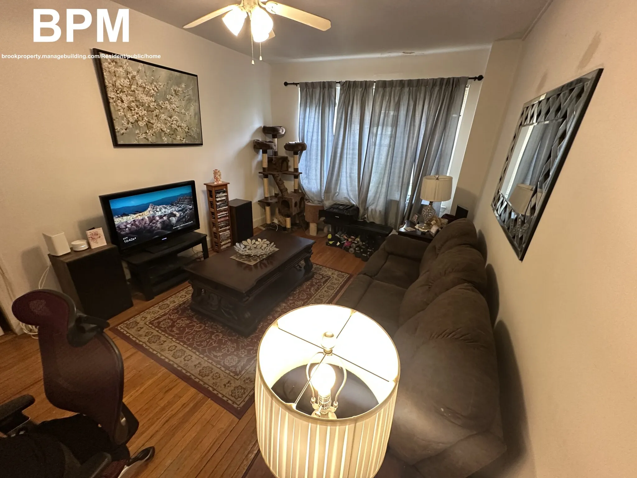 20 Colborne Rd, Brighton