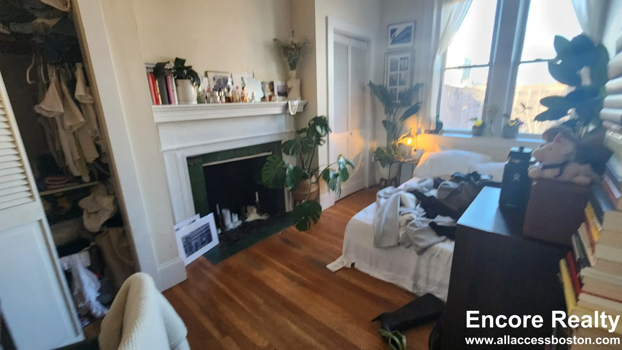 66 Egmont St, North Brookline