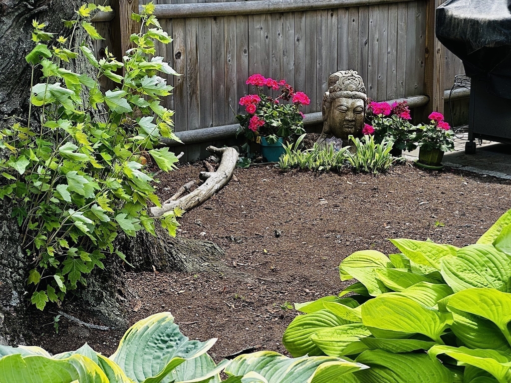 48 Hancock, East Watertown