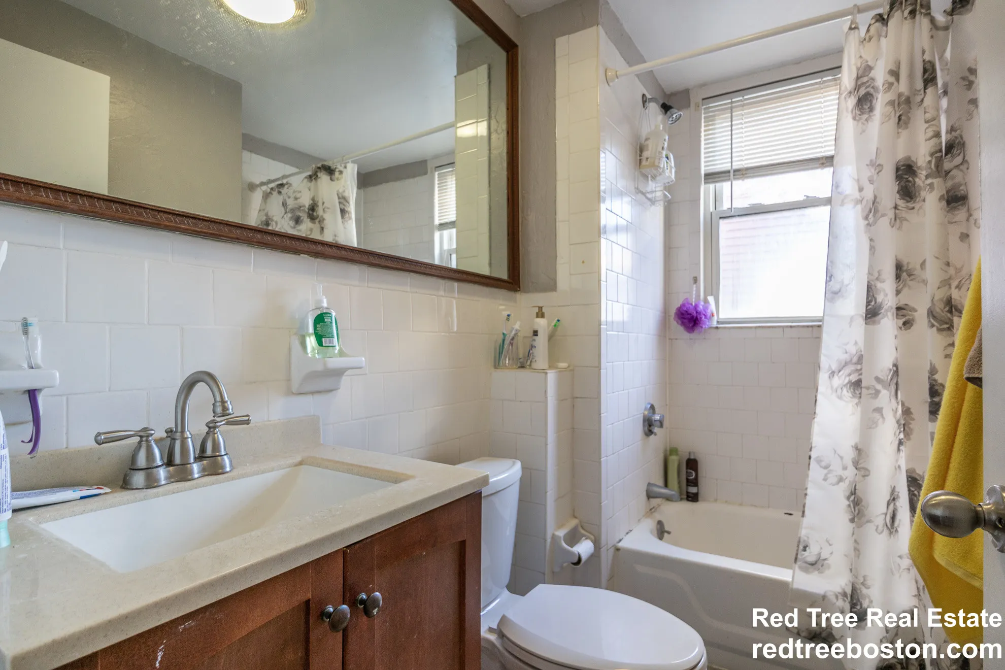 6 Sunset St, Mission Hill