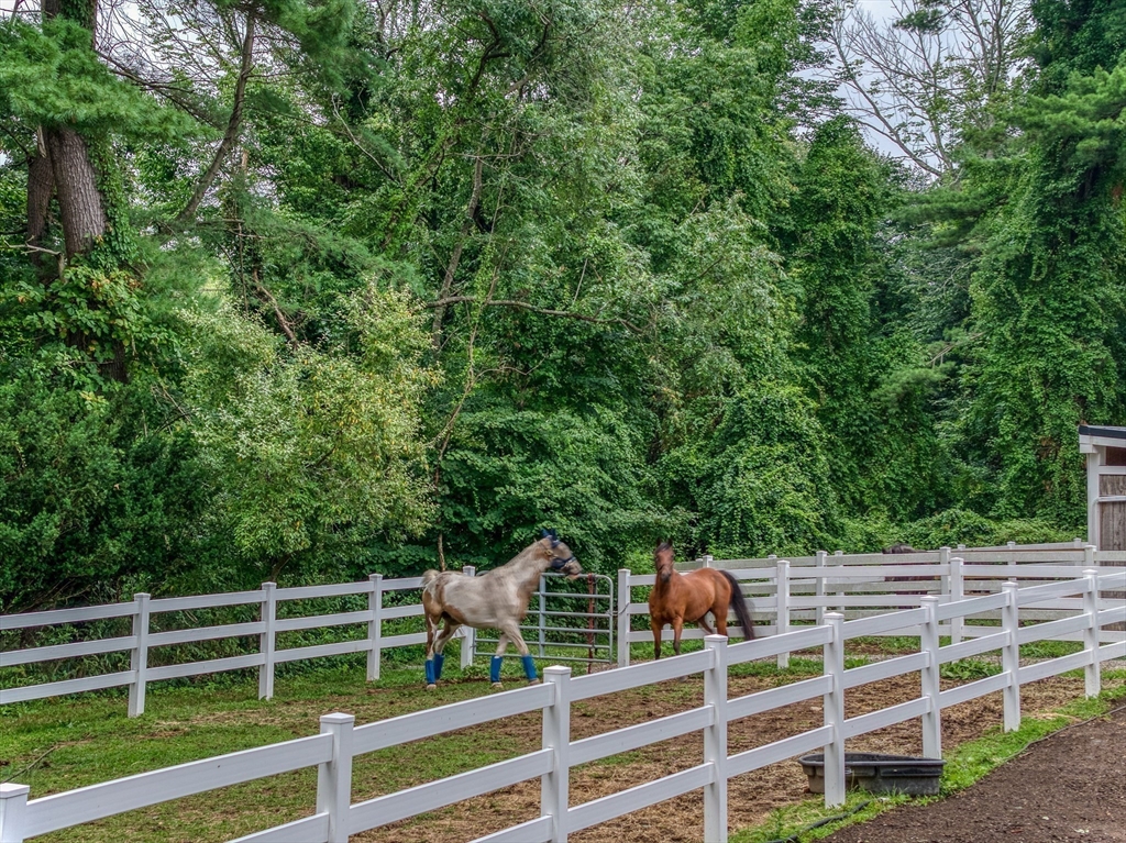 269 Dudley Rd, Bedford