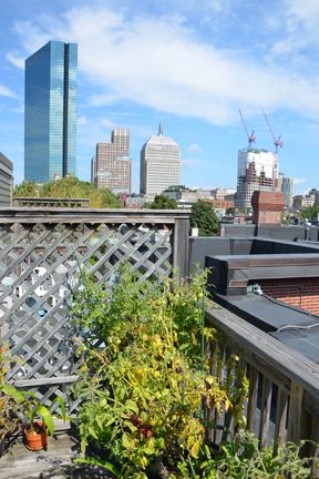 1 bed, 1 bath apartment for rent at 78 Warren Ave Unit 302, South End — photo 11 of 16