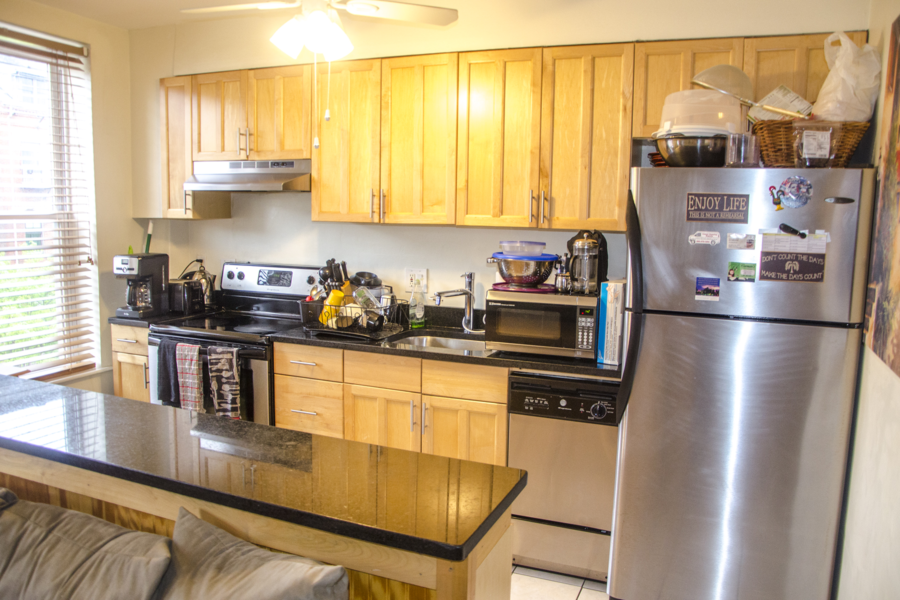 1 bed, 1 bath apartment for rent at 202 Northampton St Unit 3, South End — photo 5 of 12
