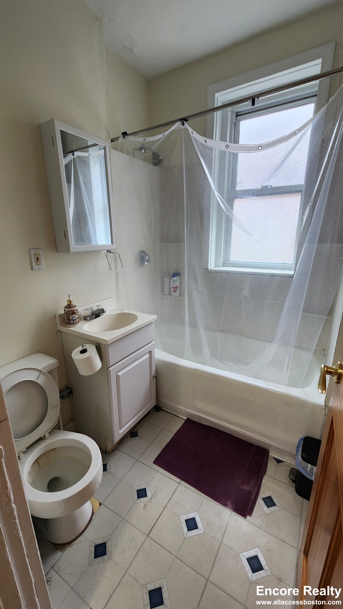 352 Riverway, Mission Hill