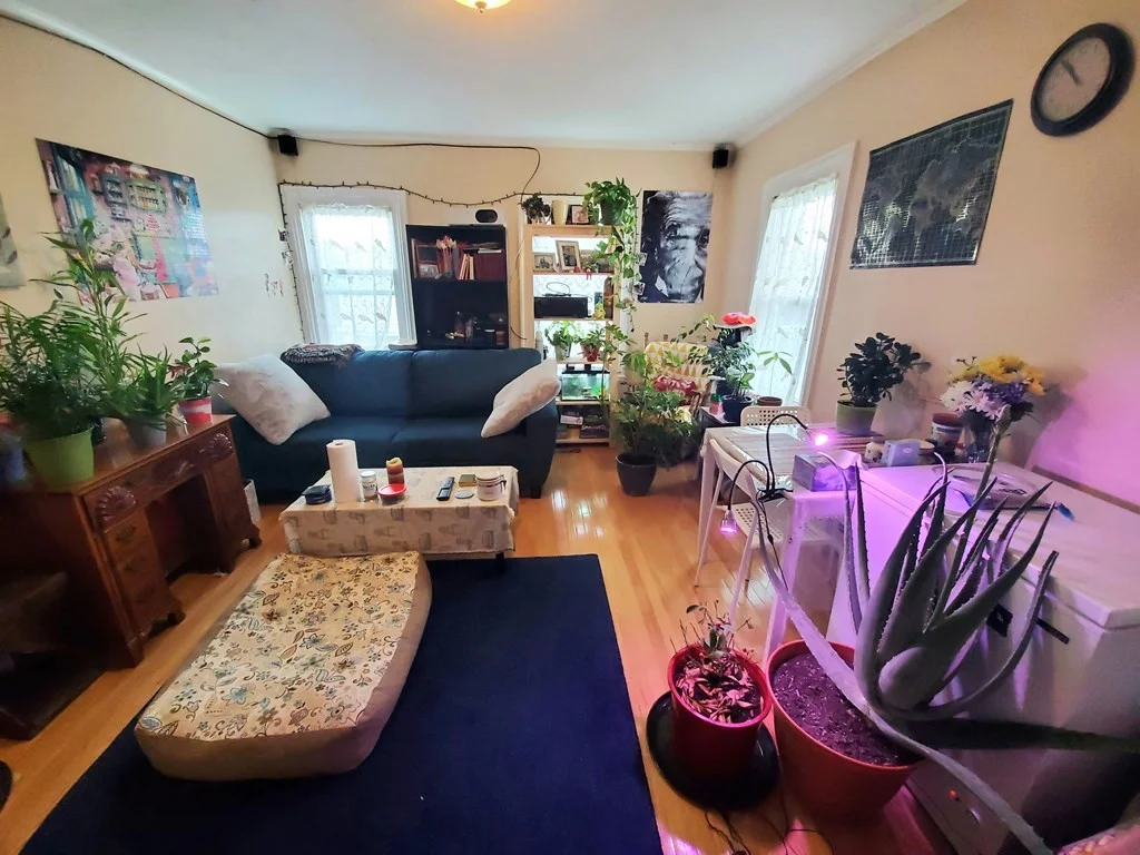 41 Mount Pleasant St, East Somerville