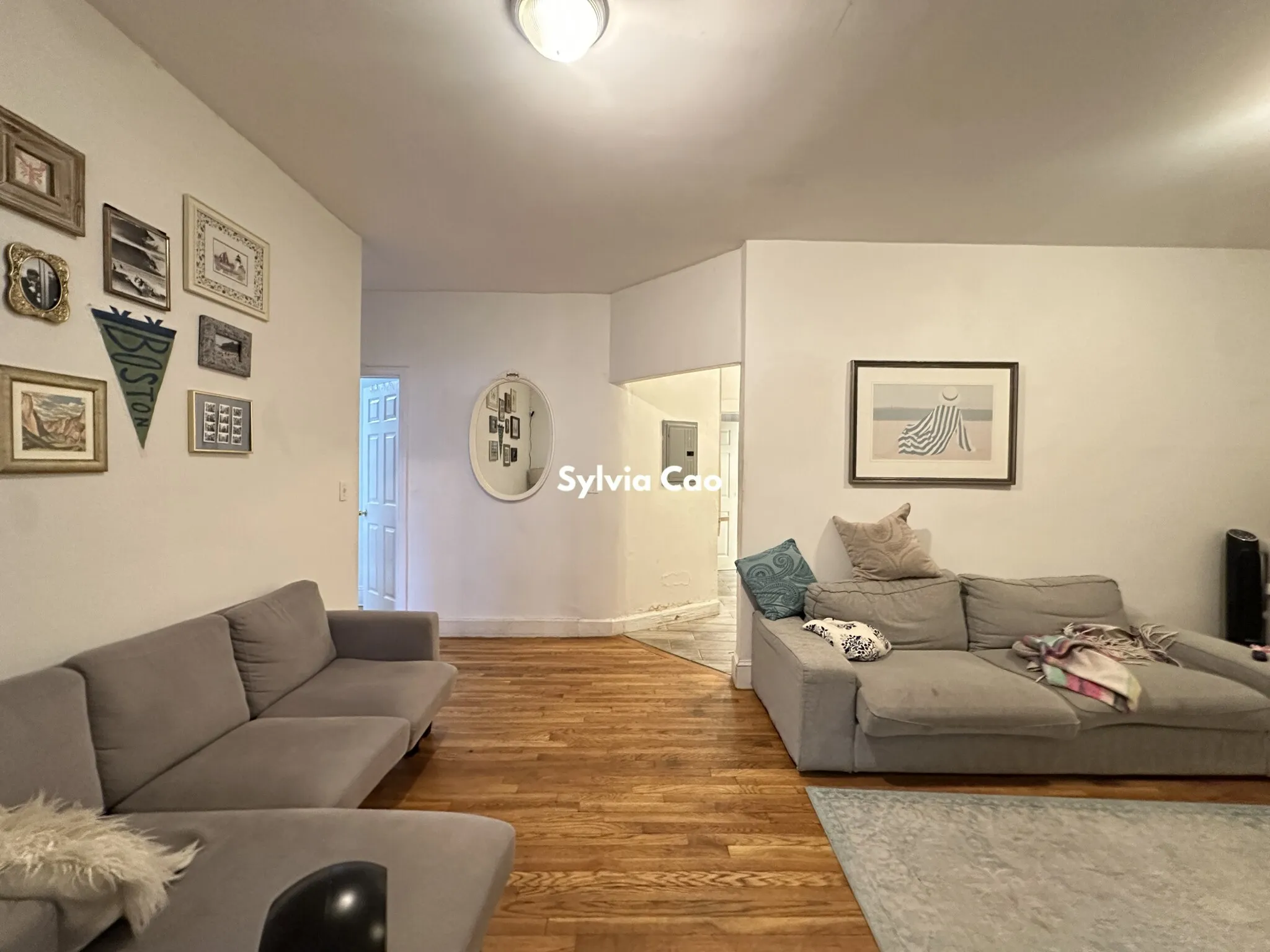 56 Egmont St, North Brookline