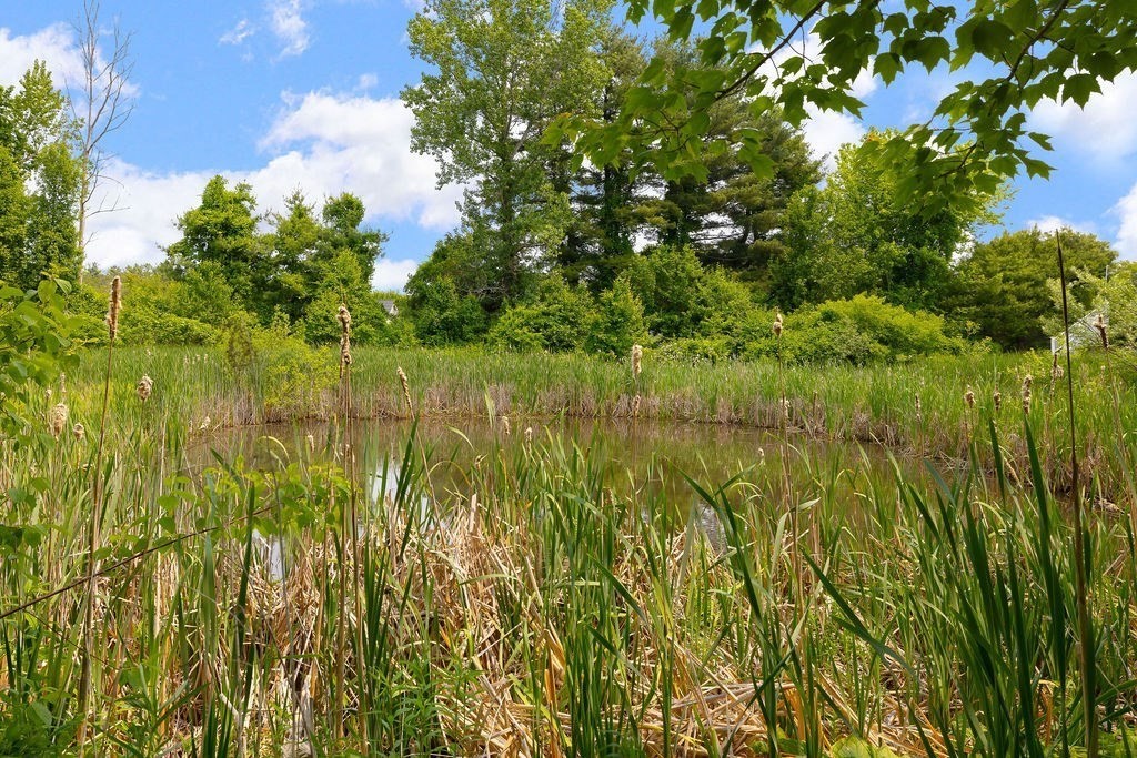 19 Langdon St, Norwood