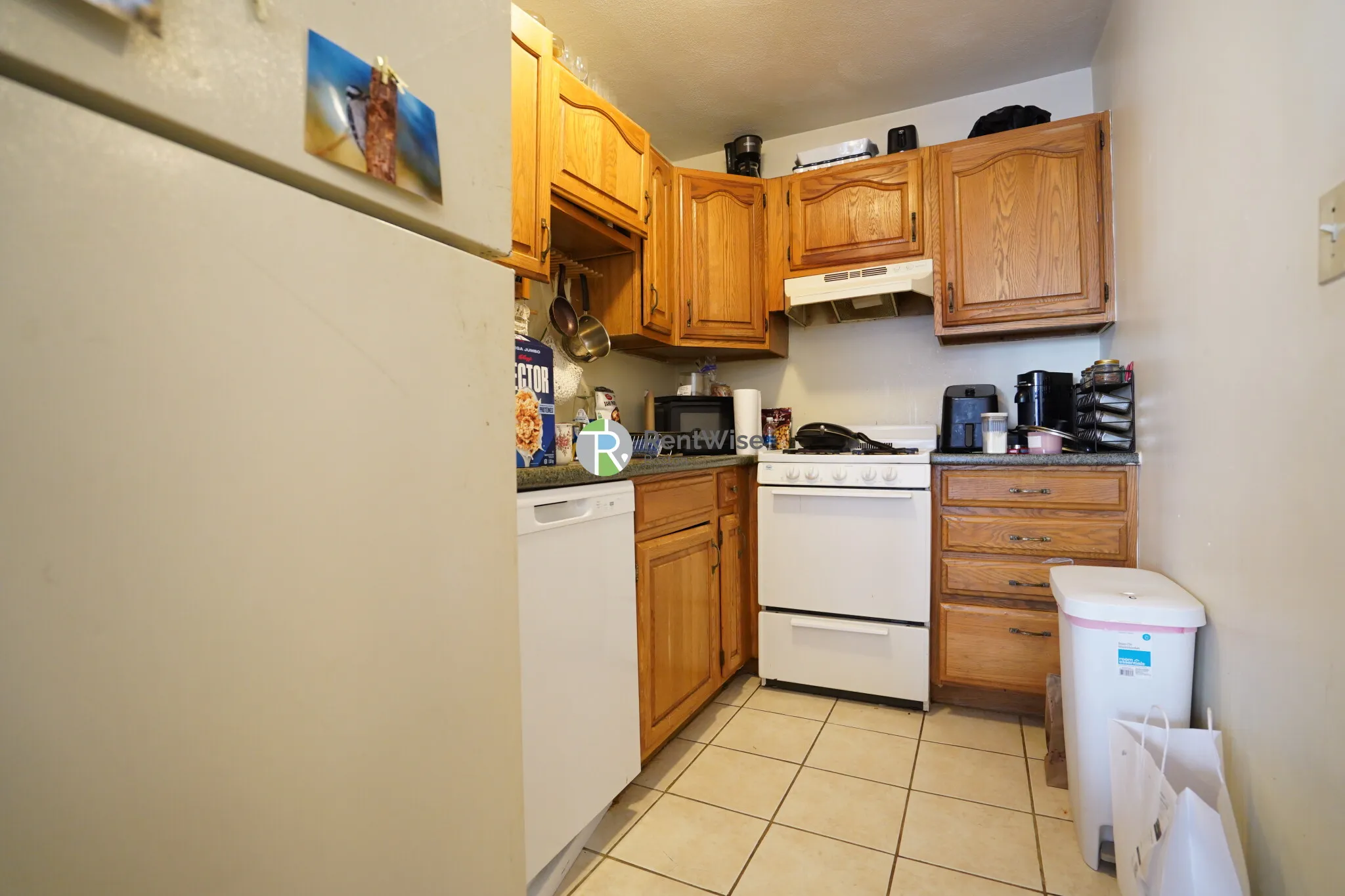 12 Lorraine Ter, Allston