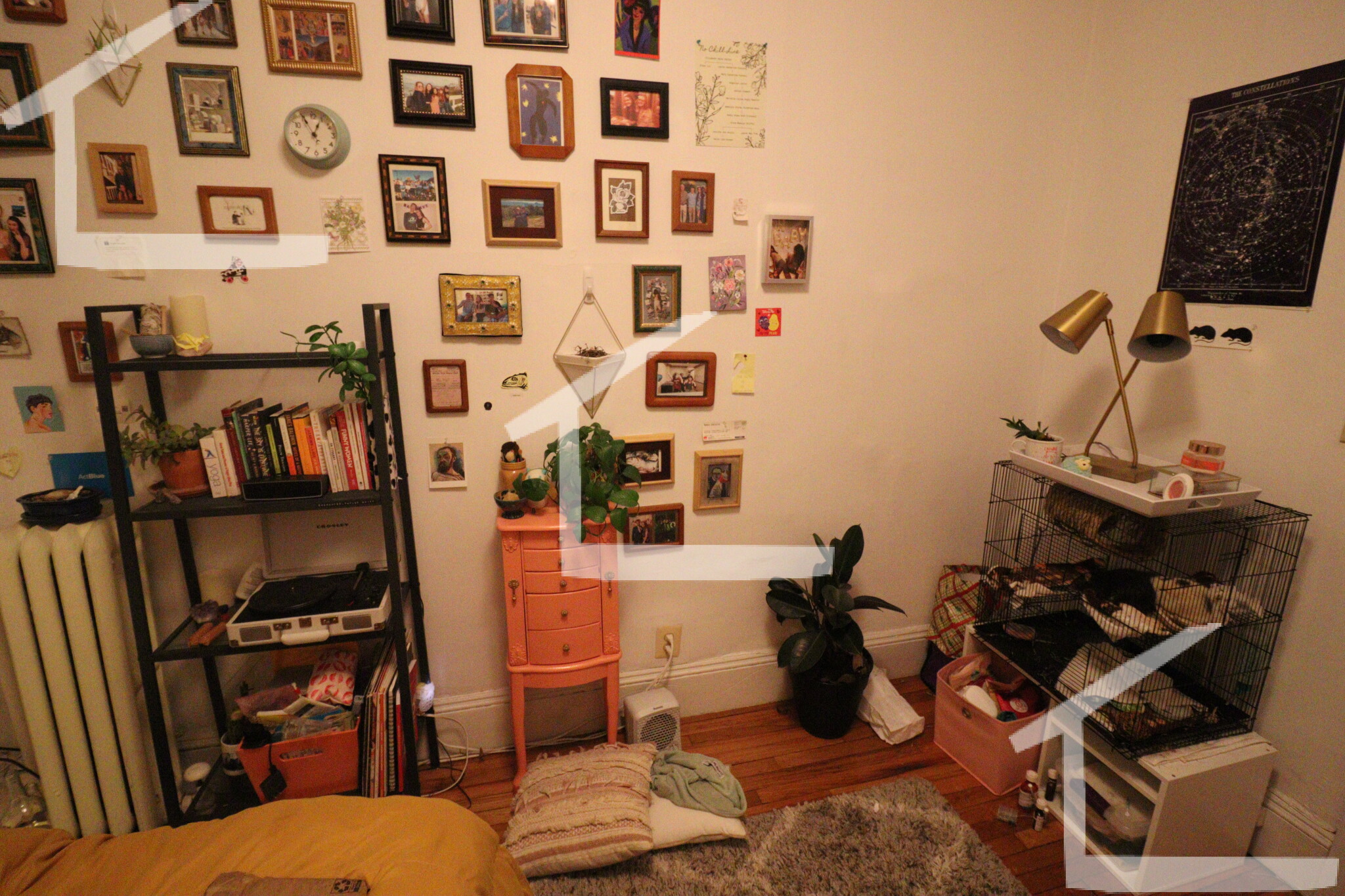 4 Price Rd, Brighton