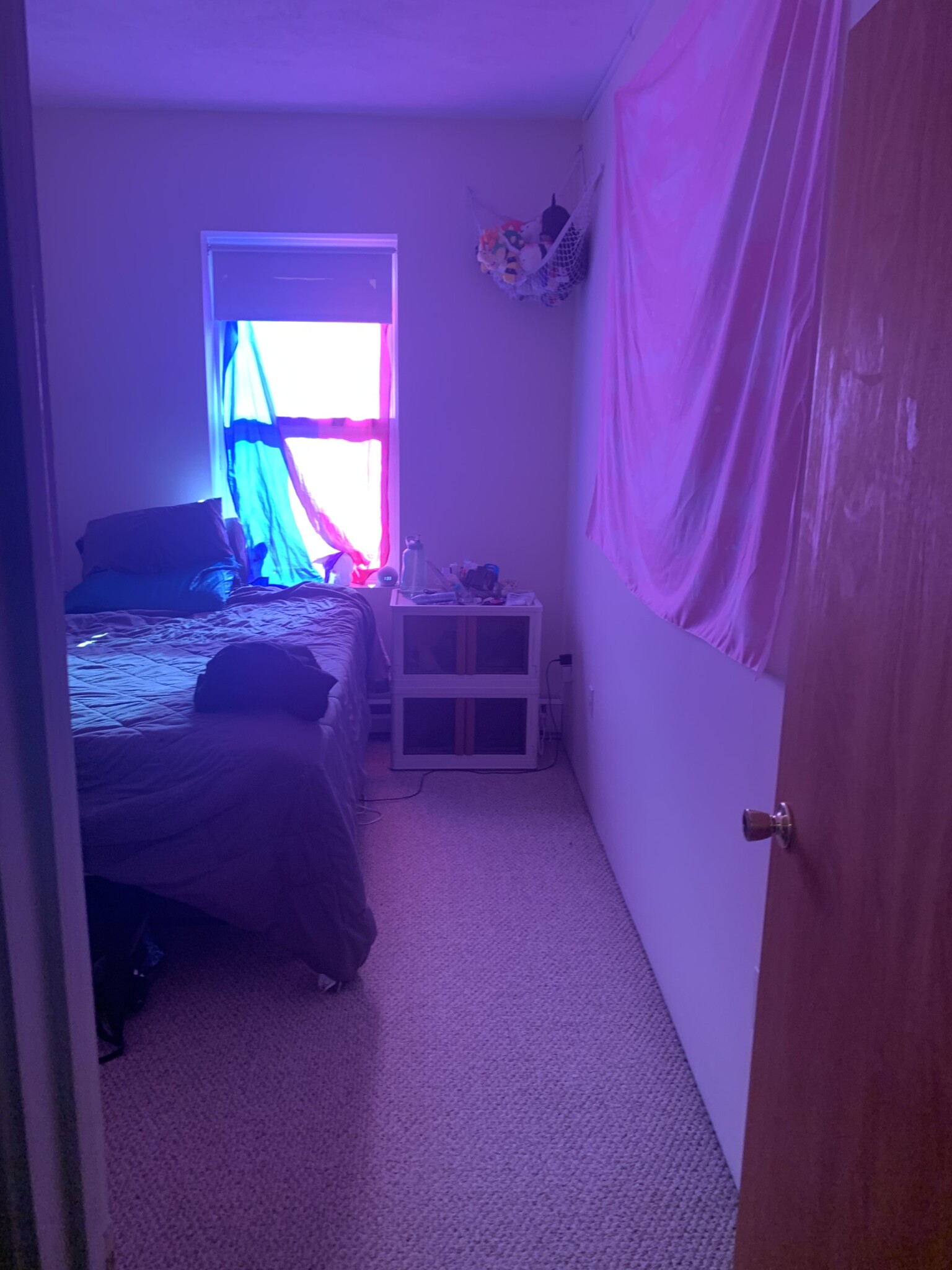 111 Norway St, Fenway