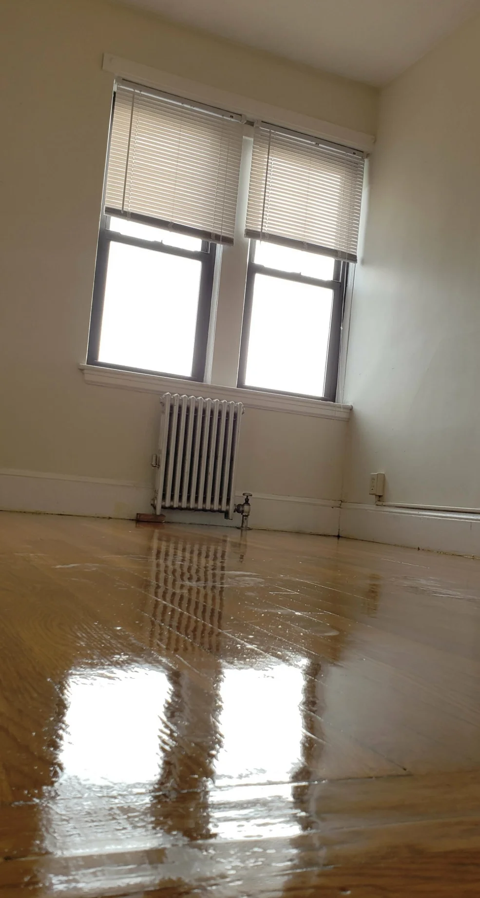 53 Fellsway West, Medford