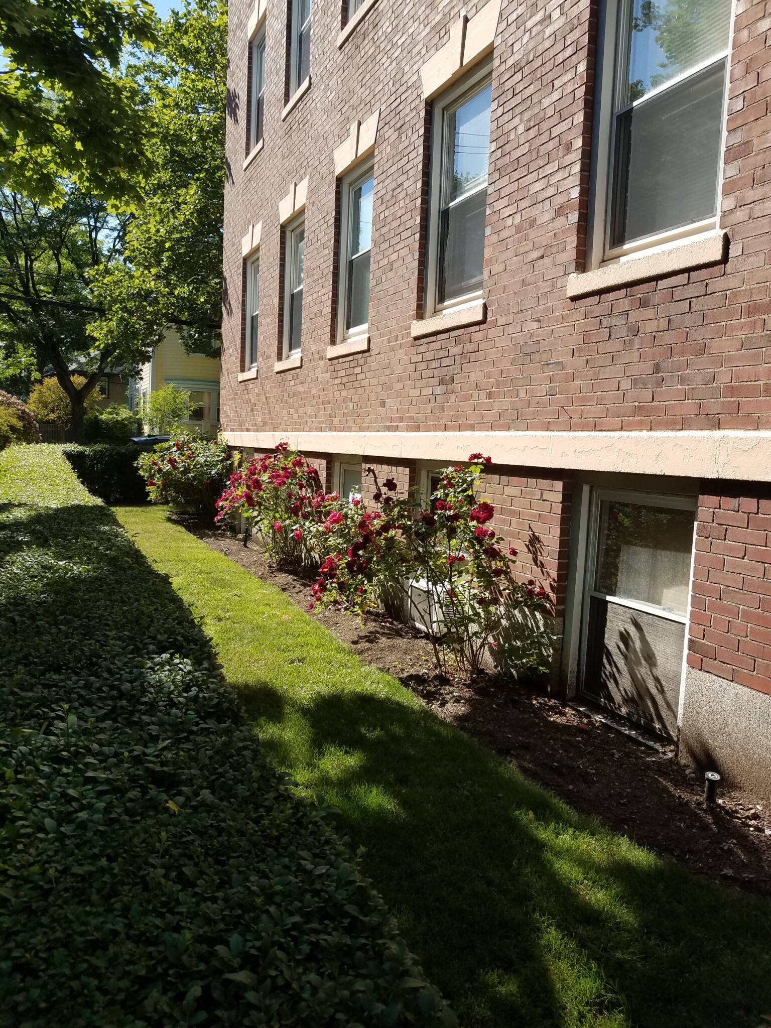 53 Manchester Rd, North Brookline