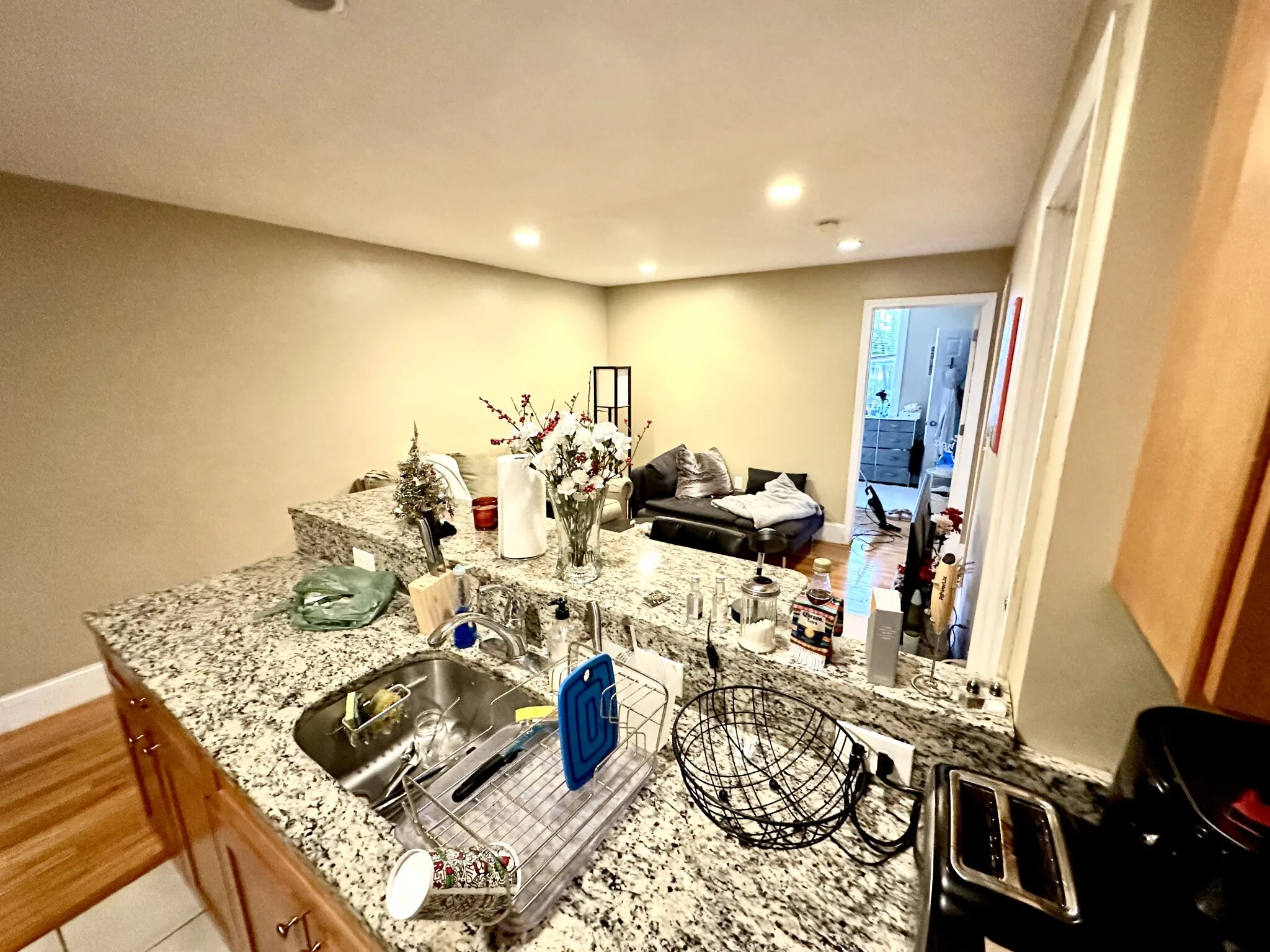 76 Egmont St, North Brookline