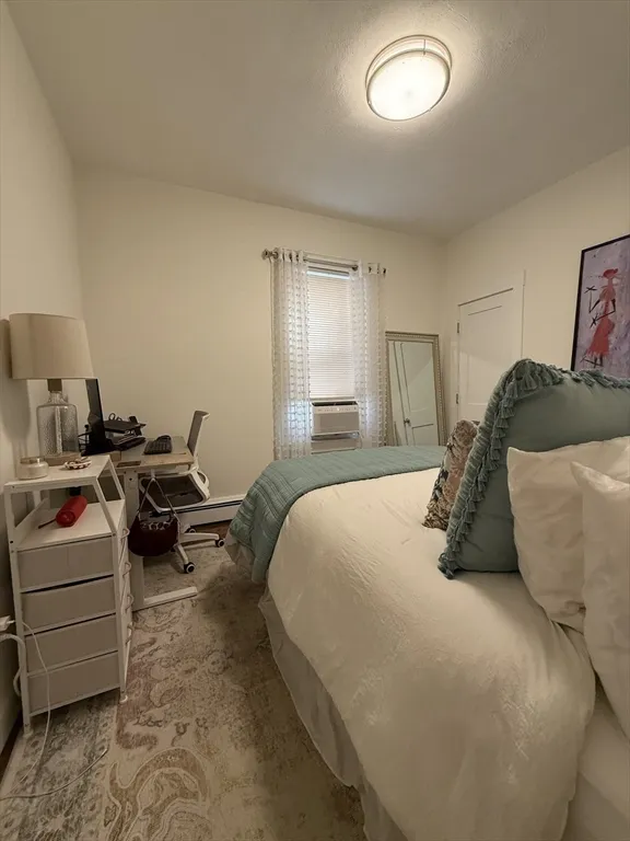 229 Charles St, East Cambridge