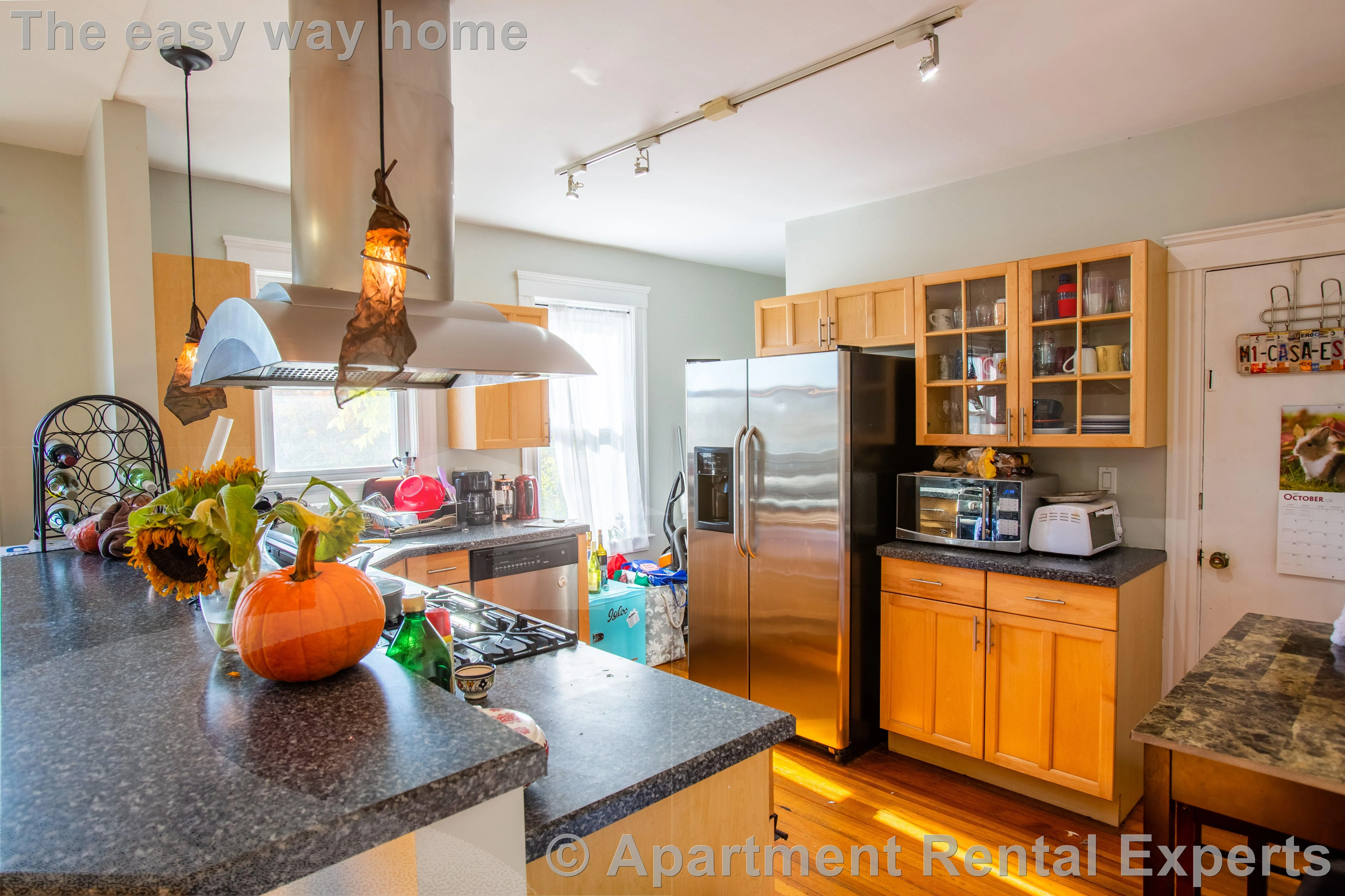 6 Belmont St, Spring Hill